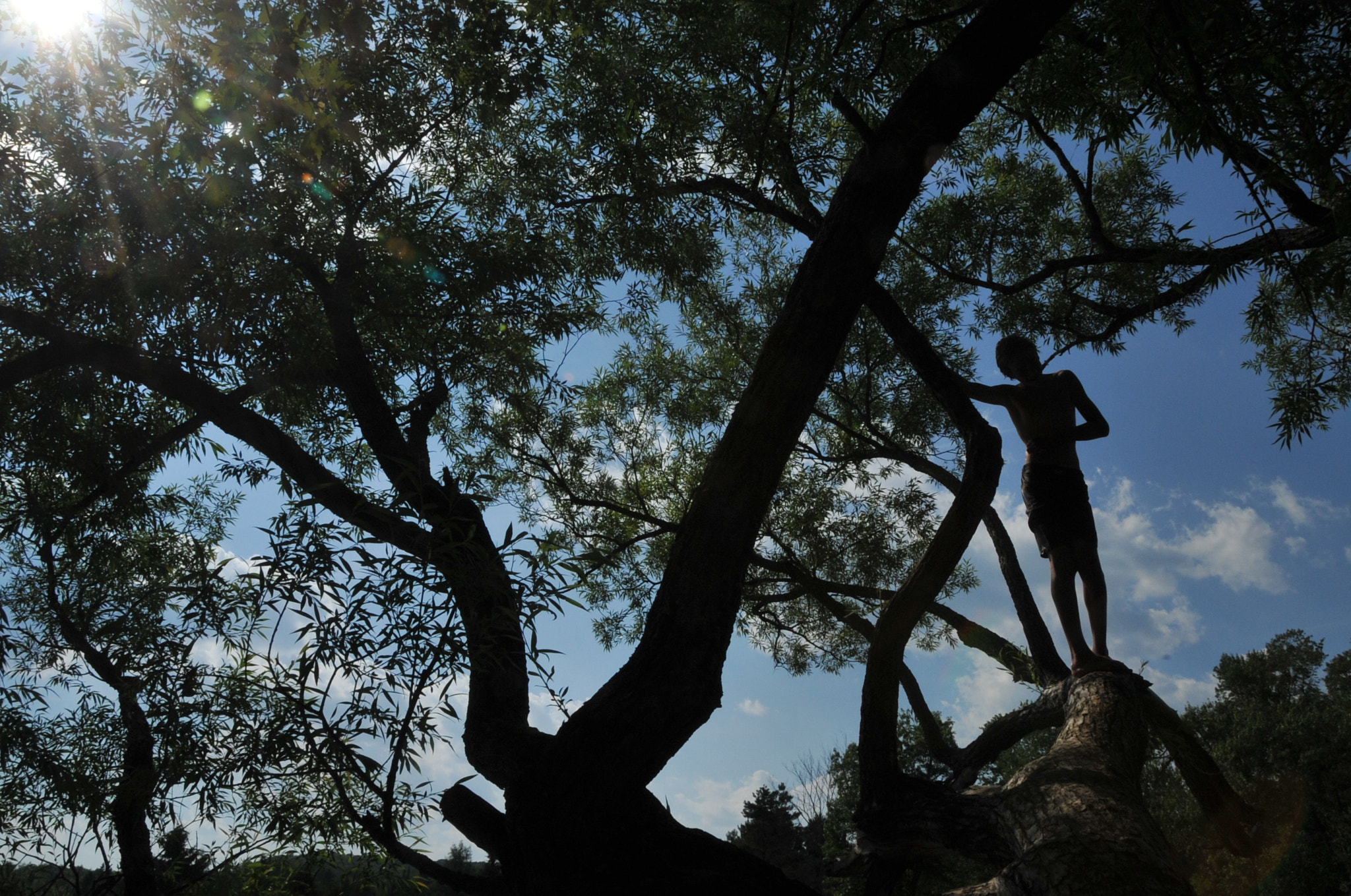 Nikon D3 sample photo. Camouflage photography