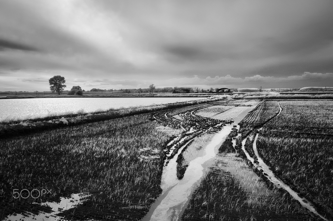 Nikon D70s sample photo. Pianura padana photography