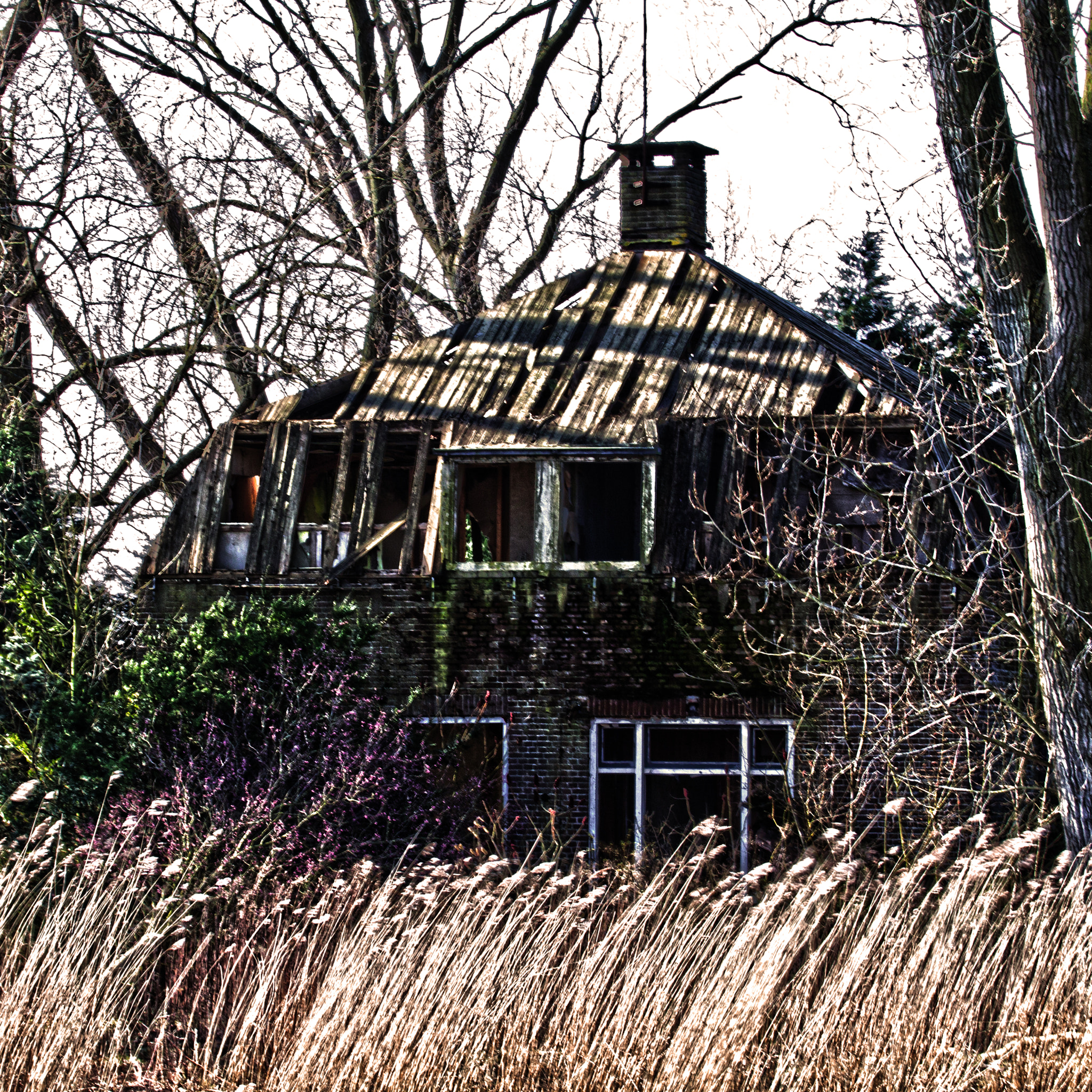 Canon EF 100-400mm F4.5-5.6L IS USM sample photo. Island tien gemeten photography