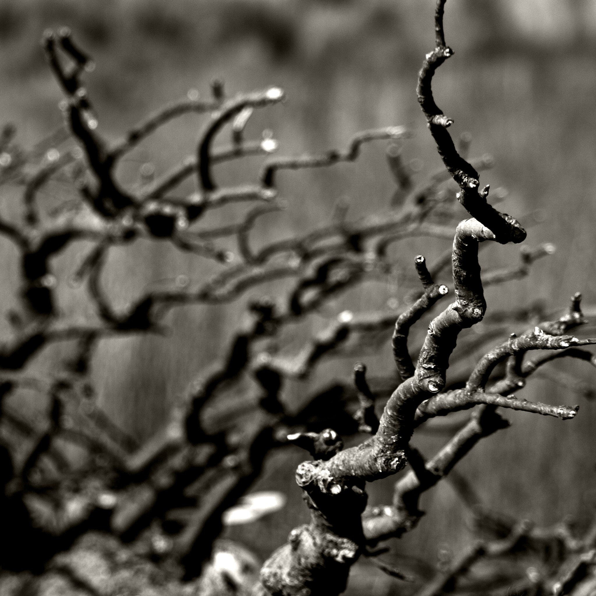 Canon EF 100-400mm F4.5-5.6L IS USM sample photo. Island tien gemeten photography