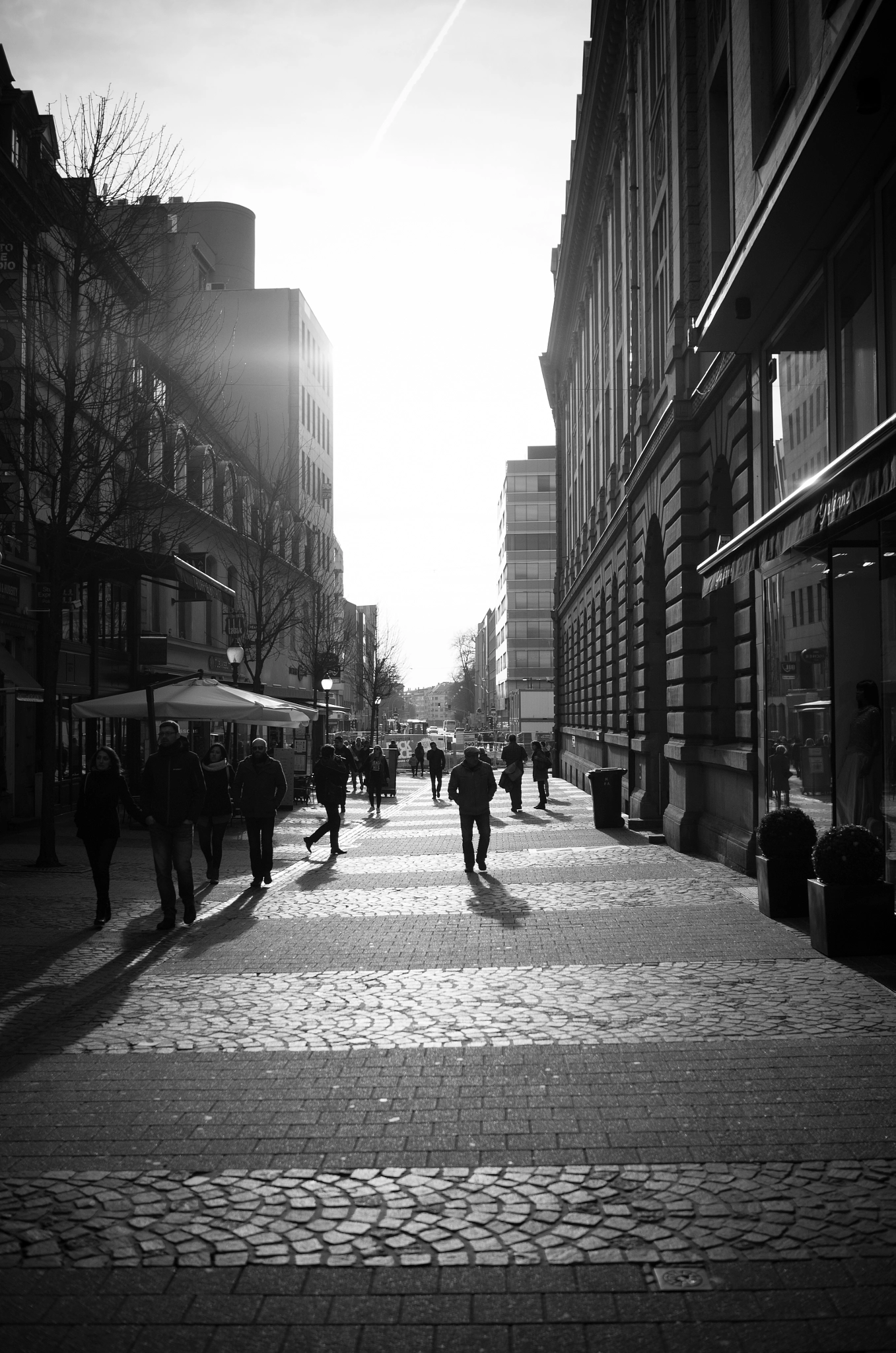 Summicron T 1:2 23 ASPH. sample photo. Sunny day in luxembourg photography