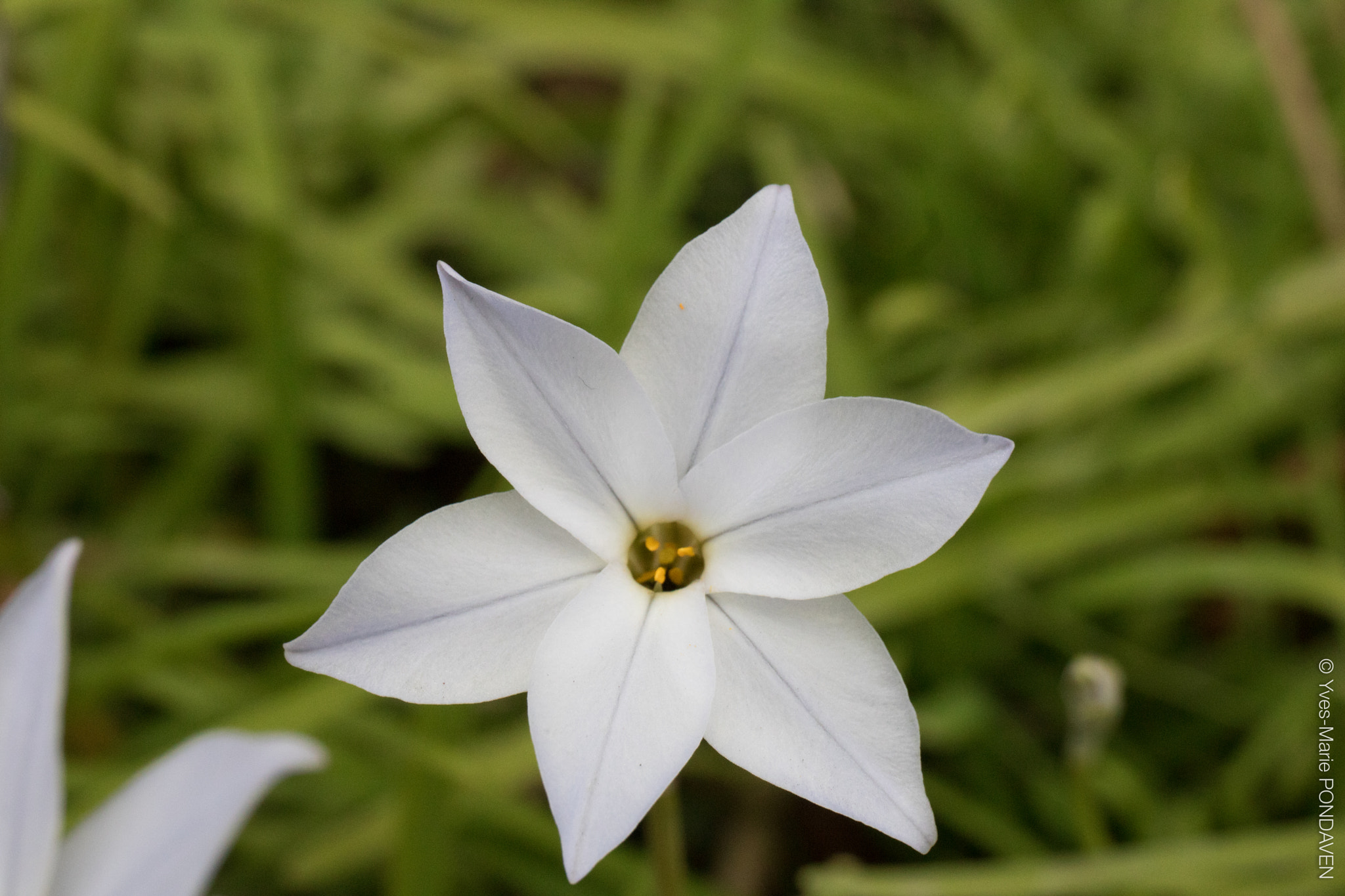 Canon EF 24-70mm F4L IS USM sample photo