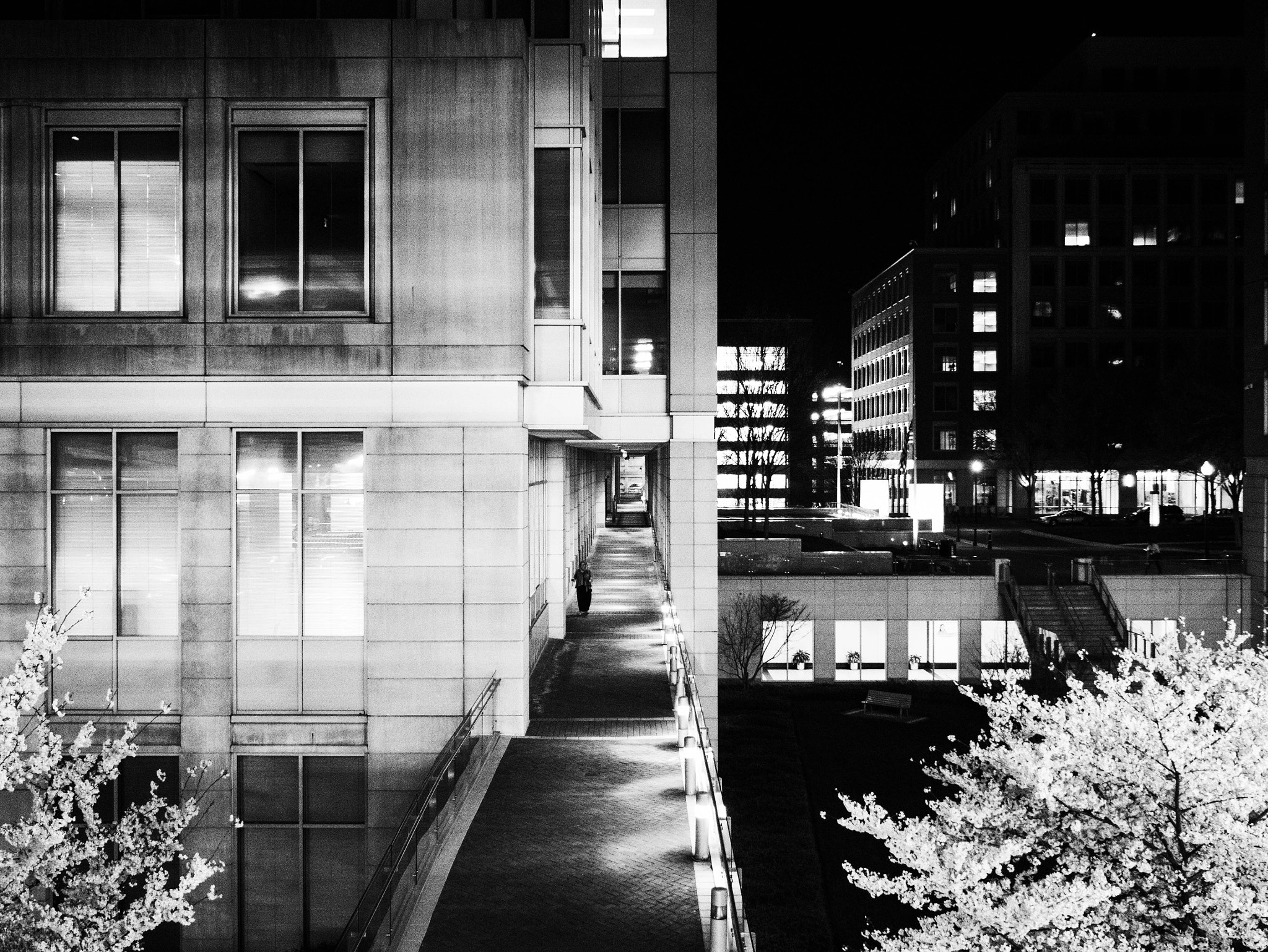 Panasonic Lumix DMC-G7 sample photo. Lonely walk photography