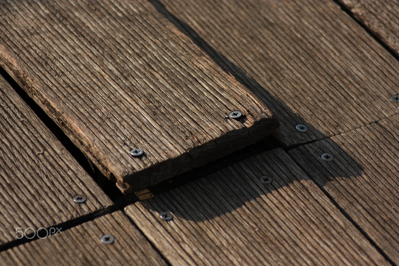 Canon EOS 450D (EOS Rebel XSi / EOS Kiss X2) sample photo. Geometrical wood. photography