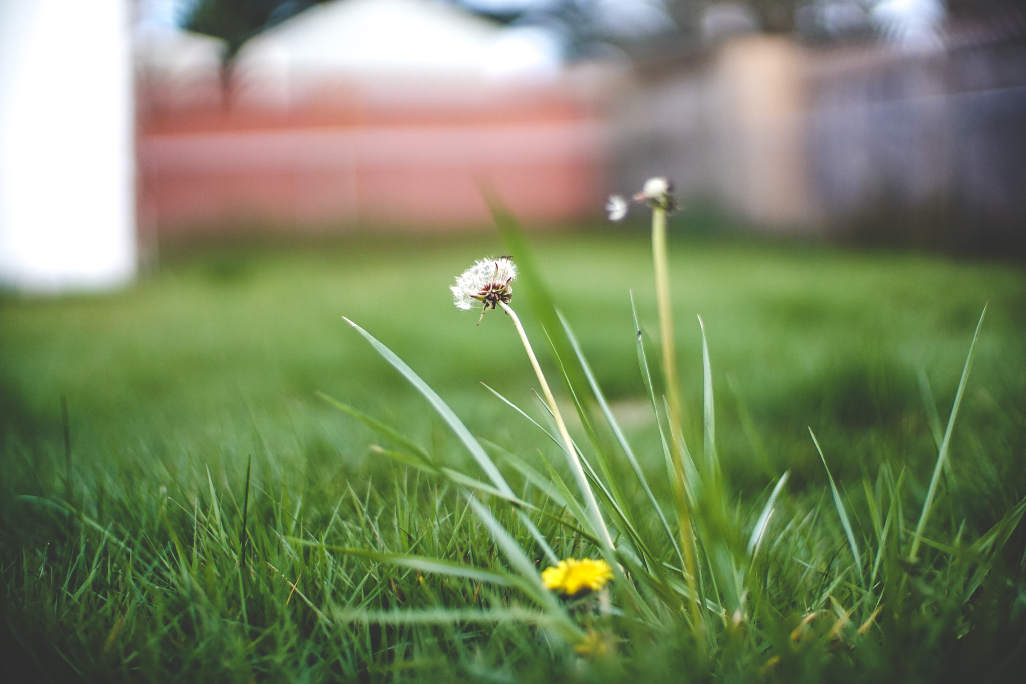 Sony a6300 + 50mm F1 sample photo