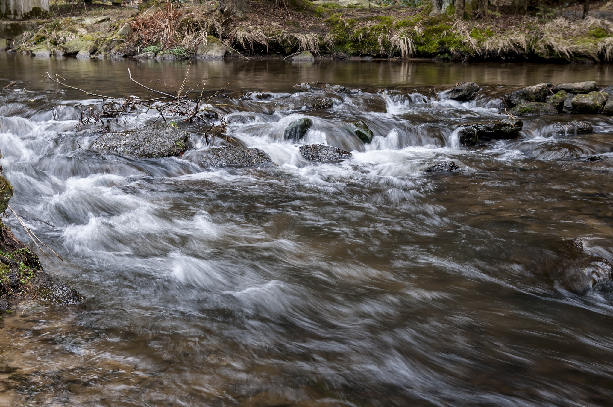 Nikon D300S + Sigma 18-50mm F2.8 EX DC Macro sample photo. Bavarian spring on the lake! photography
