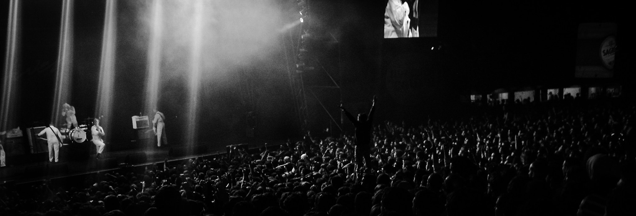 HP PHOTOSMART M23 (V01.00) sample photo. The hives photography