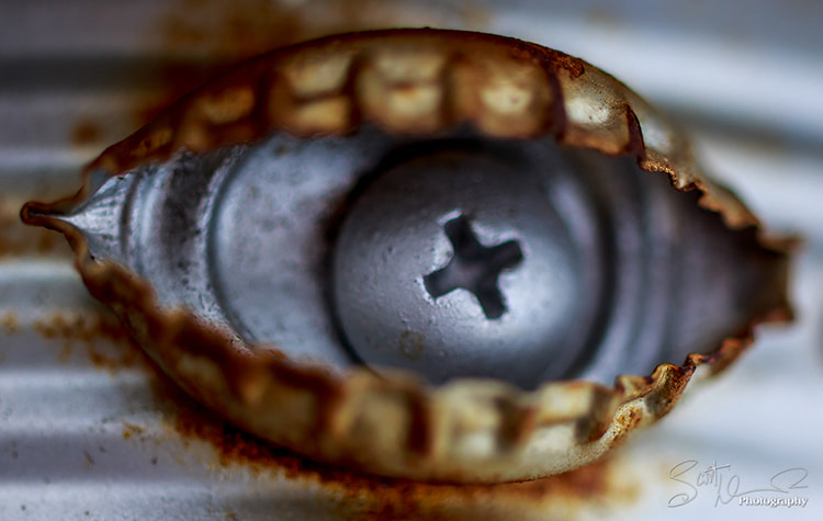 Tamron SP AF 60mm F2 Di II LD IF Macro sample photo. All seeing... photography