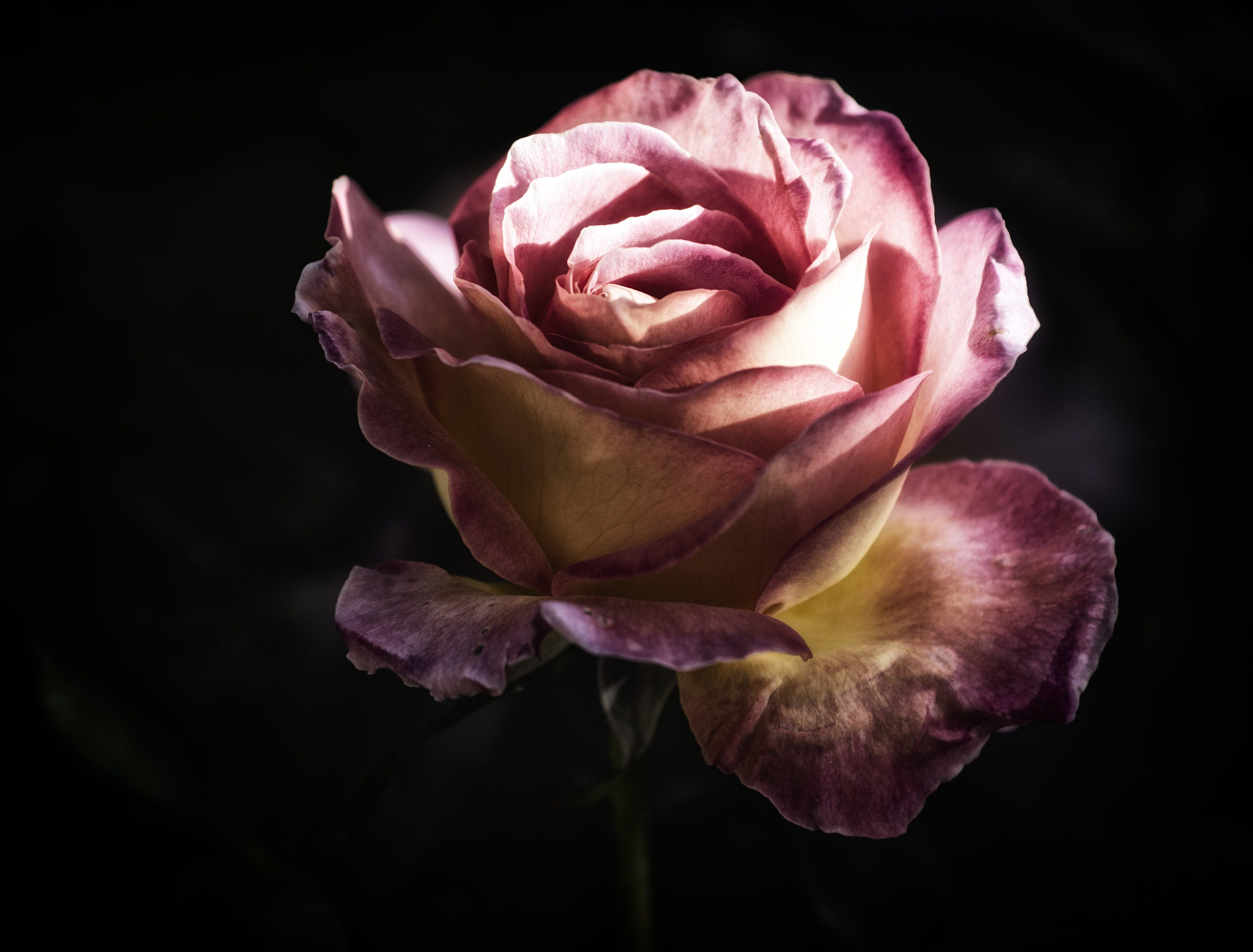 Nikon AF-S Nikkor 70-200mm F4G ED VR sample photo. Time's toll photography