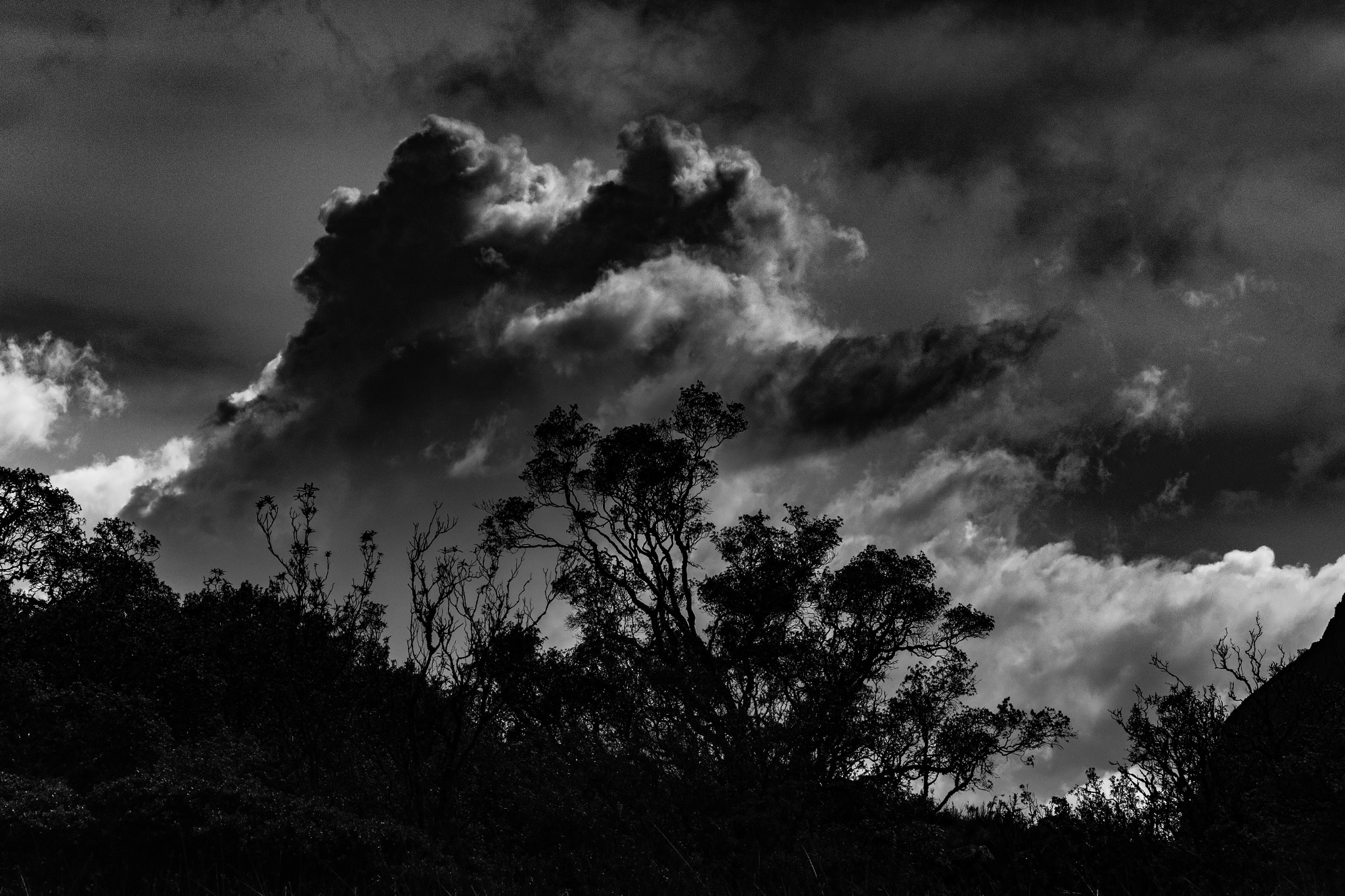 Canon EOS 100D (EOS Rebel SL1 / EOS Kiss X7) sample photo. Huaraz photography