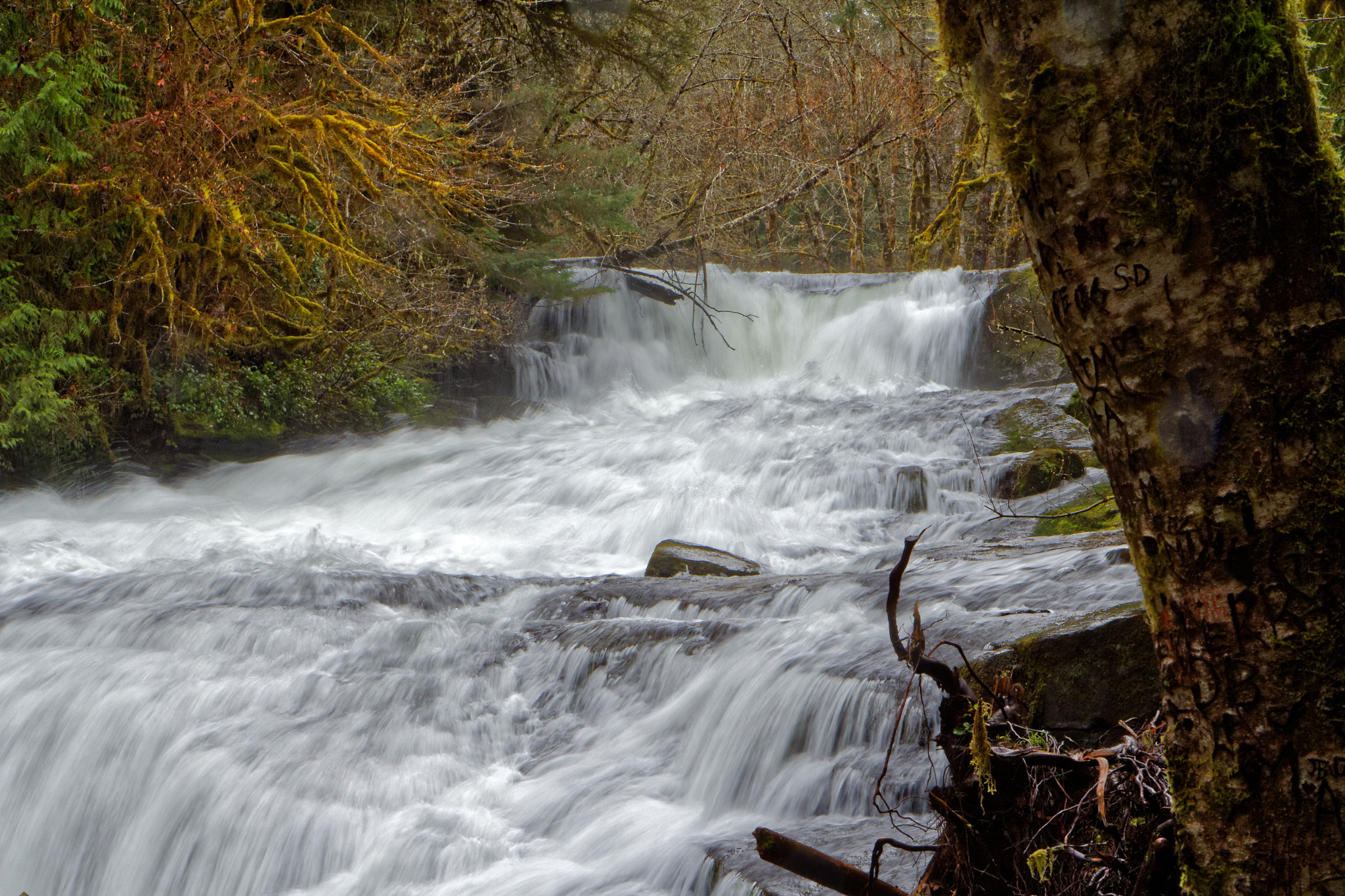 Canon EF-S 17-55mm F2.8 IS USM sample photo. Alsea falls photography