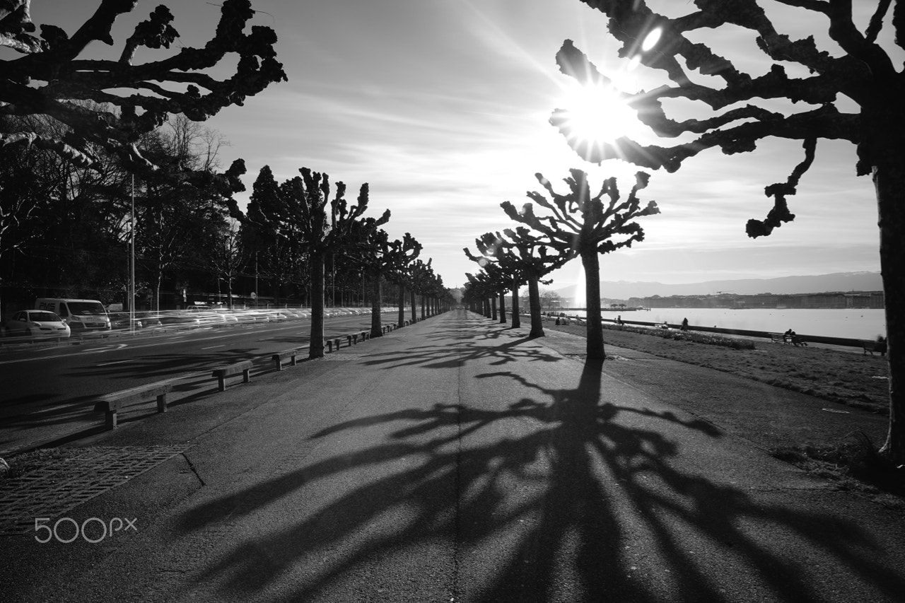 Sony a7 + Sigma 20mm F1.8 EX DG Aspherical RF sample photo. Saturday walk around the lake - geneva photography