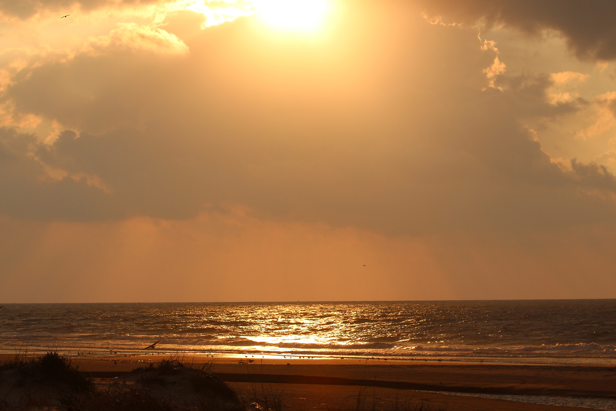 Canon EF 70-200mm F2.8L IS II USM sample photo. Shore photography