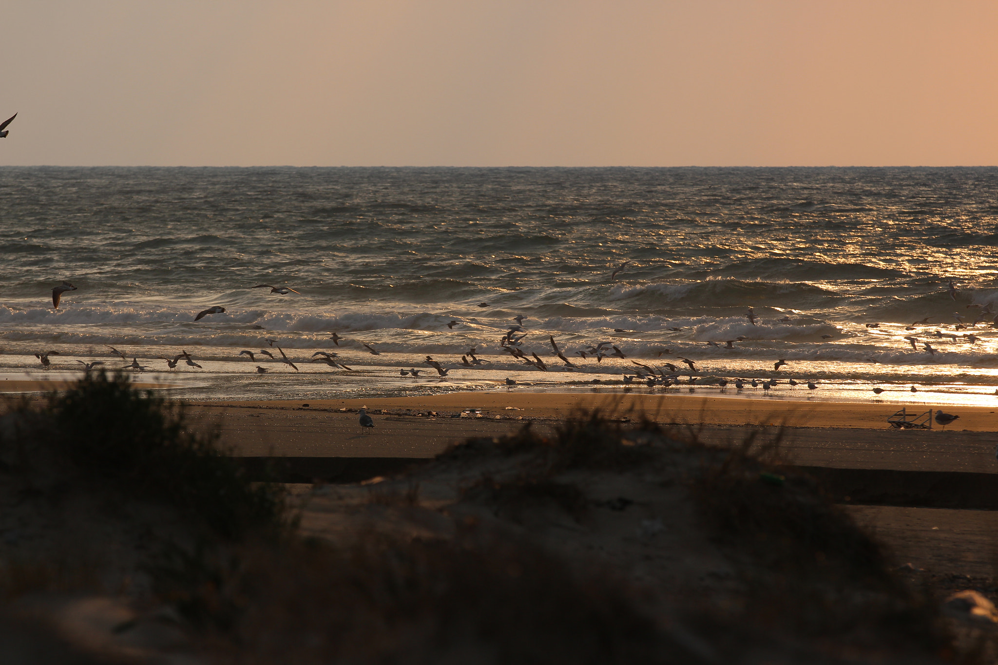 Canon EF 70-200mm F2.8L IS II USM sample photo. Shore photography