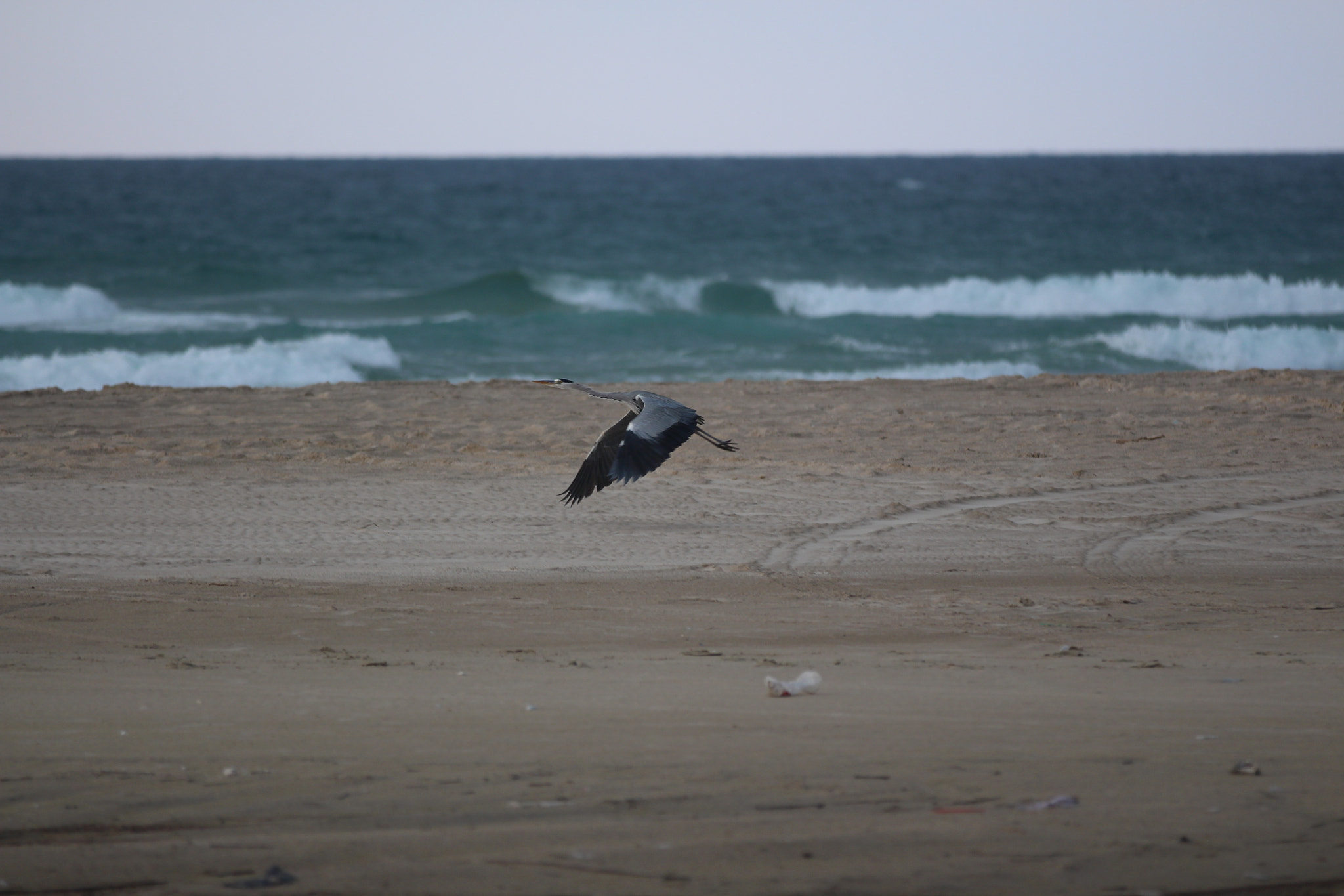 Canon EF 70-200mm F2.8L IS II USM sample photo. Shore photography