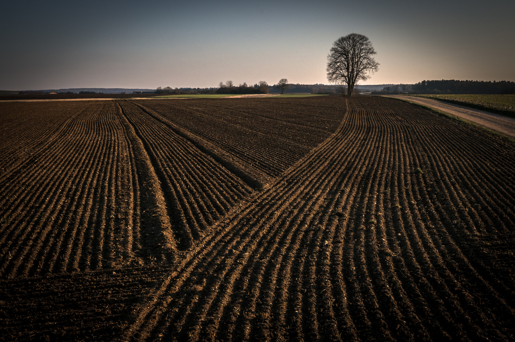 Sony Alpha NEX-5R + Sigma 30mm F2.8 EX DN sample photo. Follow the lines photography