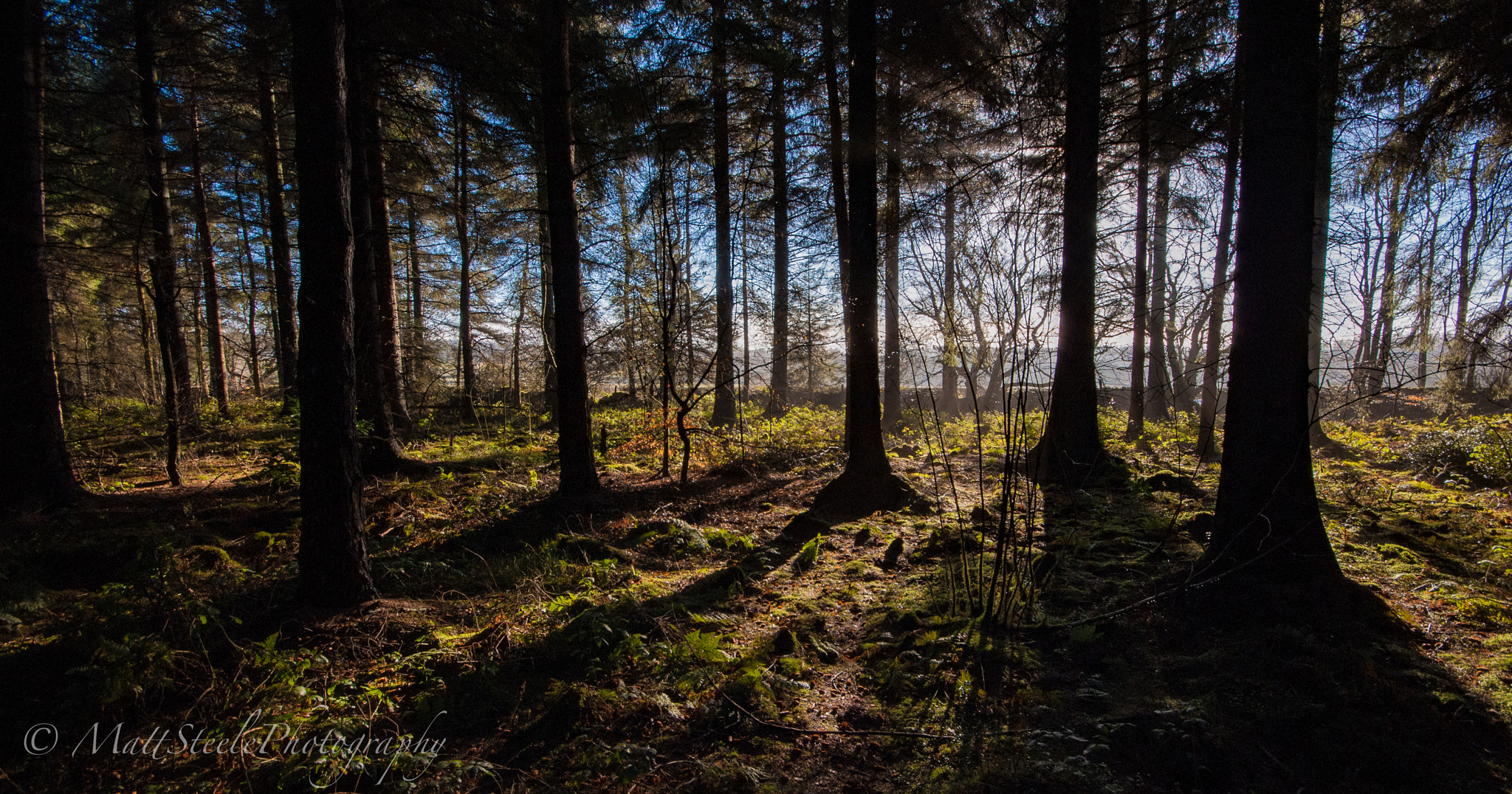 Sigma AF 10-20mm F4-5.6 EX DC sample photo. Darwin forest, derbyshire photography