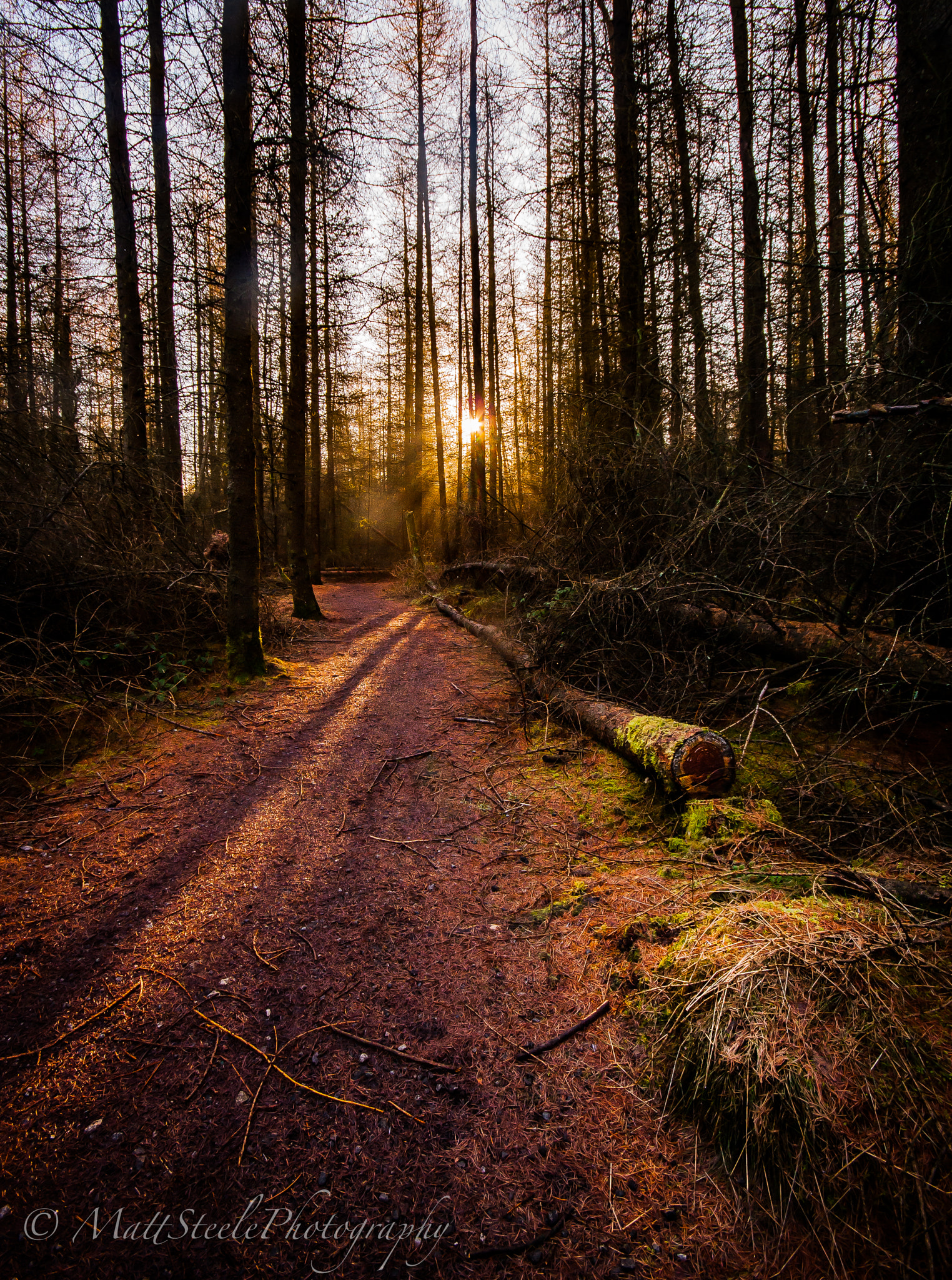 Sigma AF 10-20mm F4-5.6 EX DC sample photo. Darwin forest, derbyshire photography
