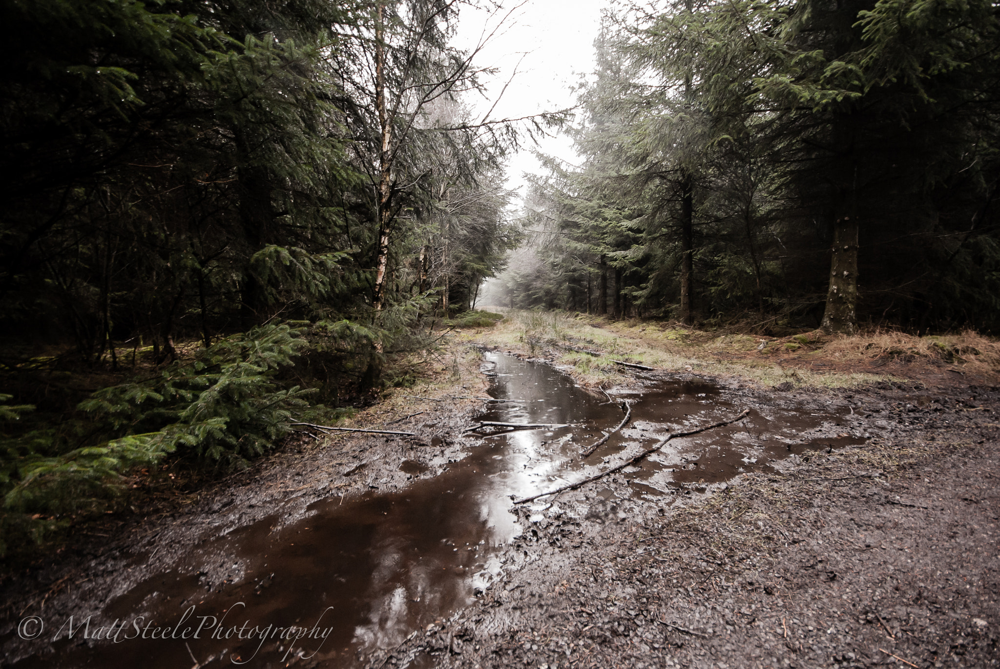 Sigma AF 10-20mm F4-5.6 EX DC sample photo. Darwin forest, derbyshire photography