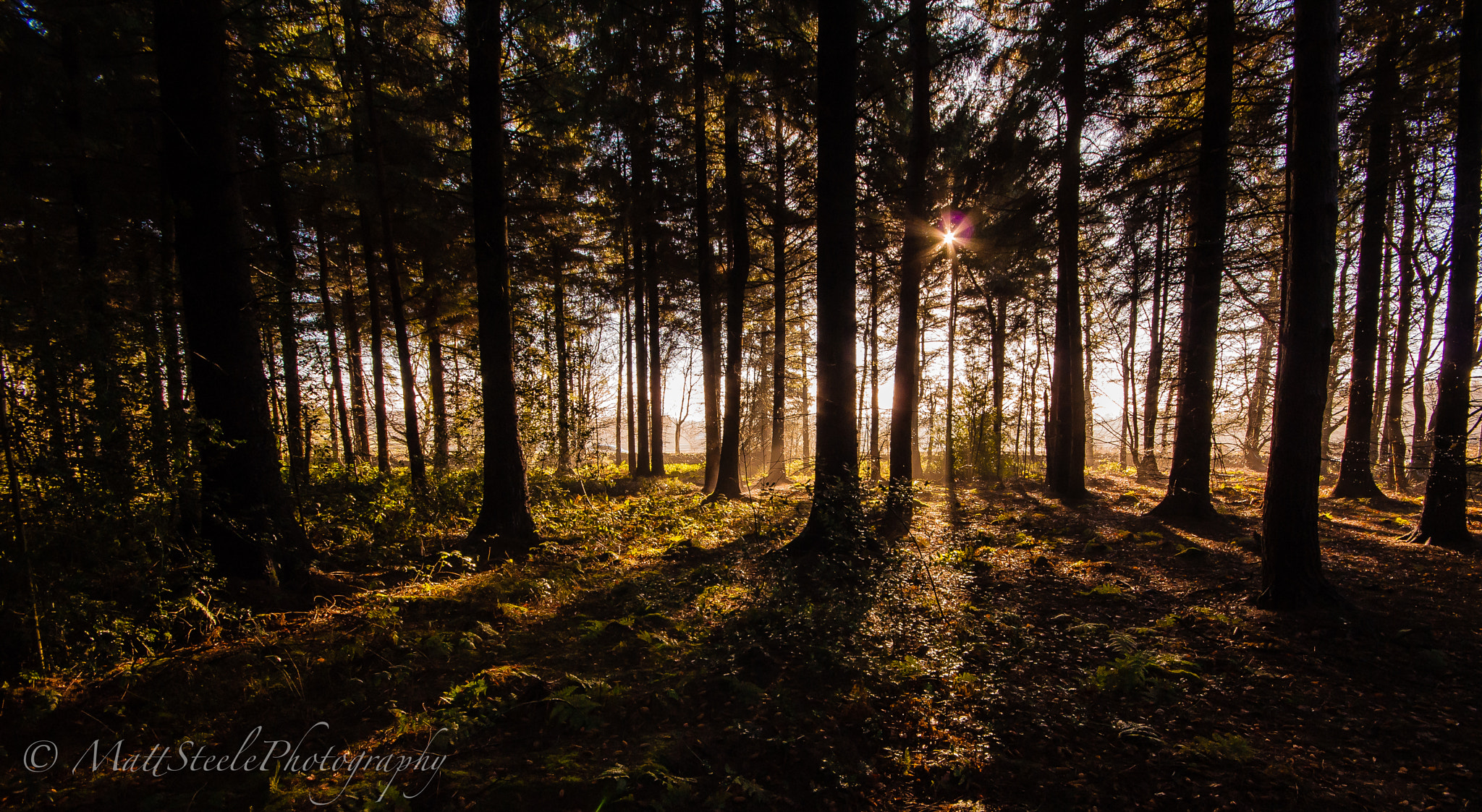 Sigma AF 10-20mm F4-5.6 EX DC sample photo. Darwin forest, derbyshire photography