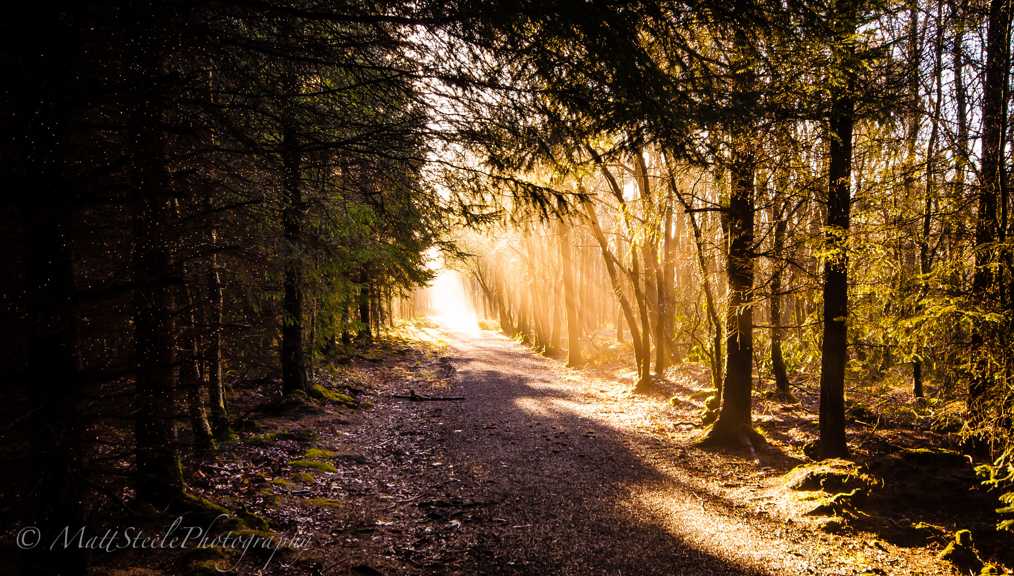 Sigma AF 10-20mm F4-5.6 EX DC sample photo. Darwin forest, derbyshire photography