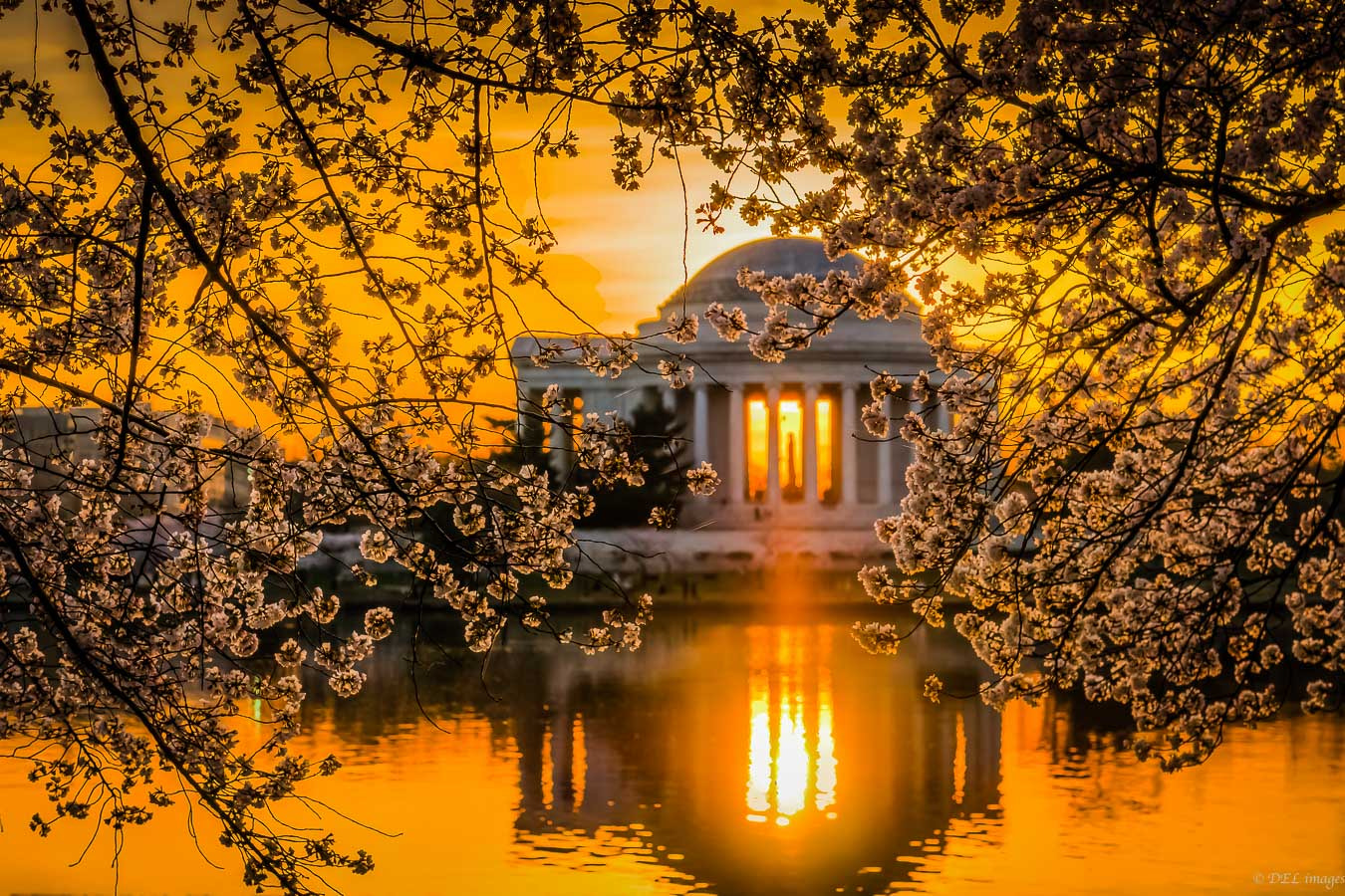 Panasonic Lumix G 42.5mm F1.7 ASPH Power OIS sample photo. Sunrise at the jefferson.jpg photography