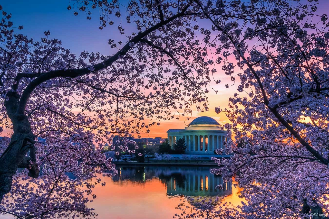 Panasonic Lumix DMC-GX7 + Panasonic Lumix G 20mm F1.7 ASPH sample photo. Pre-dawn at the jefferson.jpg photography