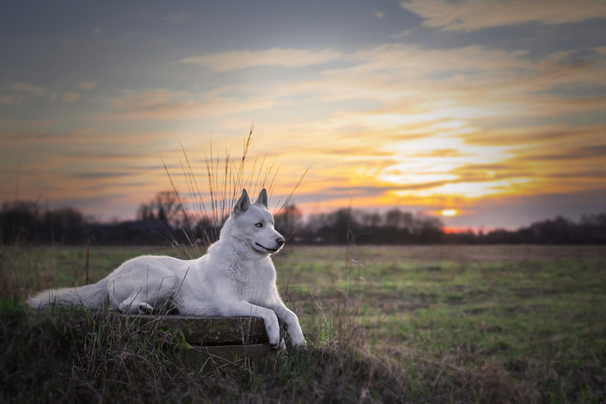 Canon EF 35mm F2 IS USM sample photo. One evening... photography