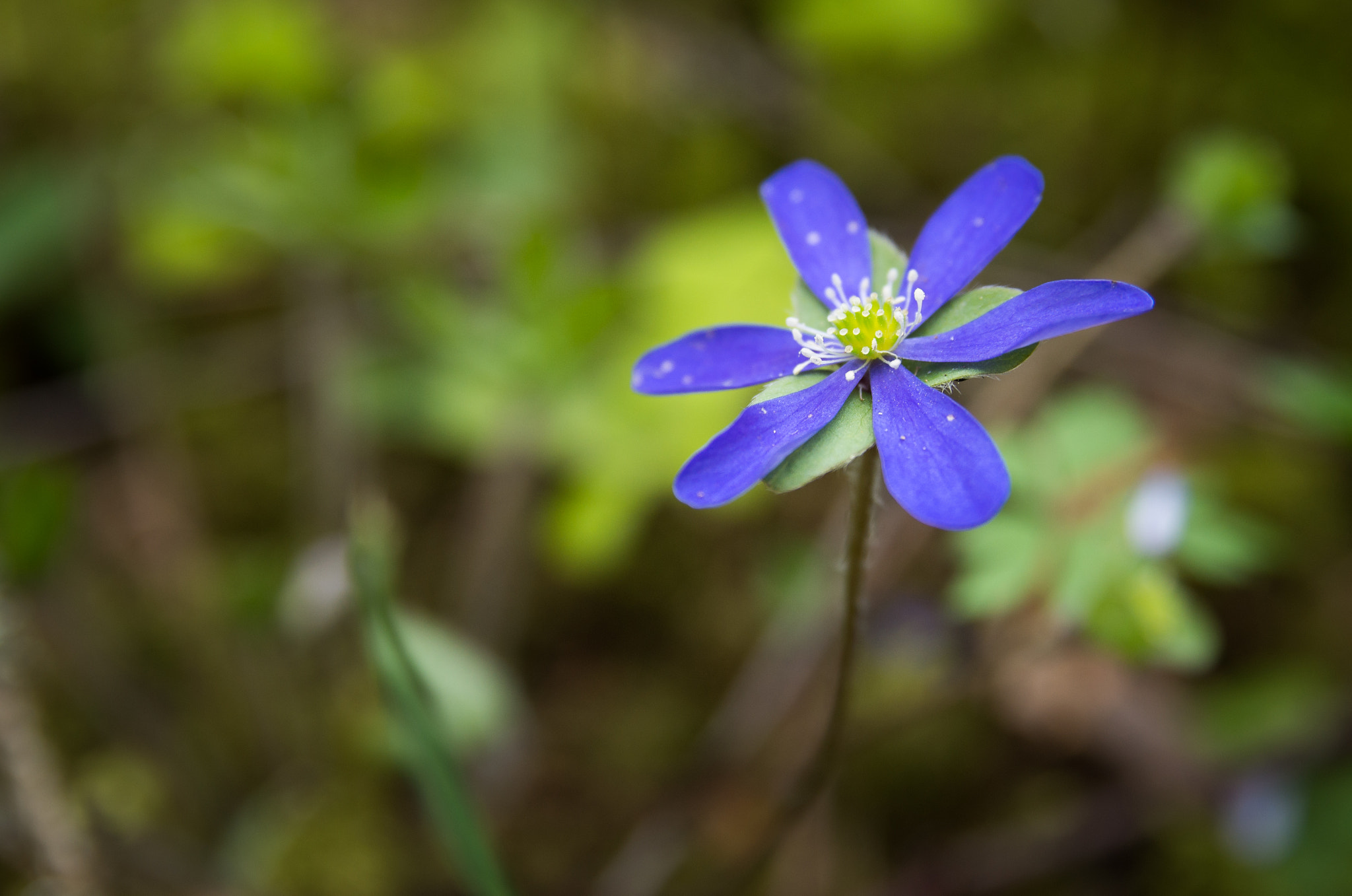 Pentax K-500 + Sigma sample photo. Waiting for others photography