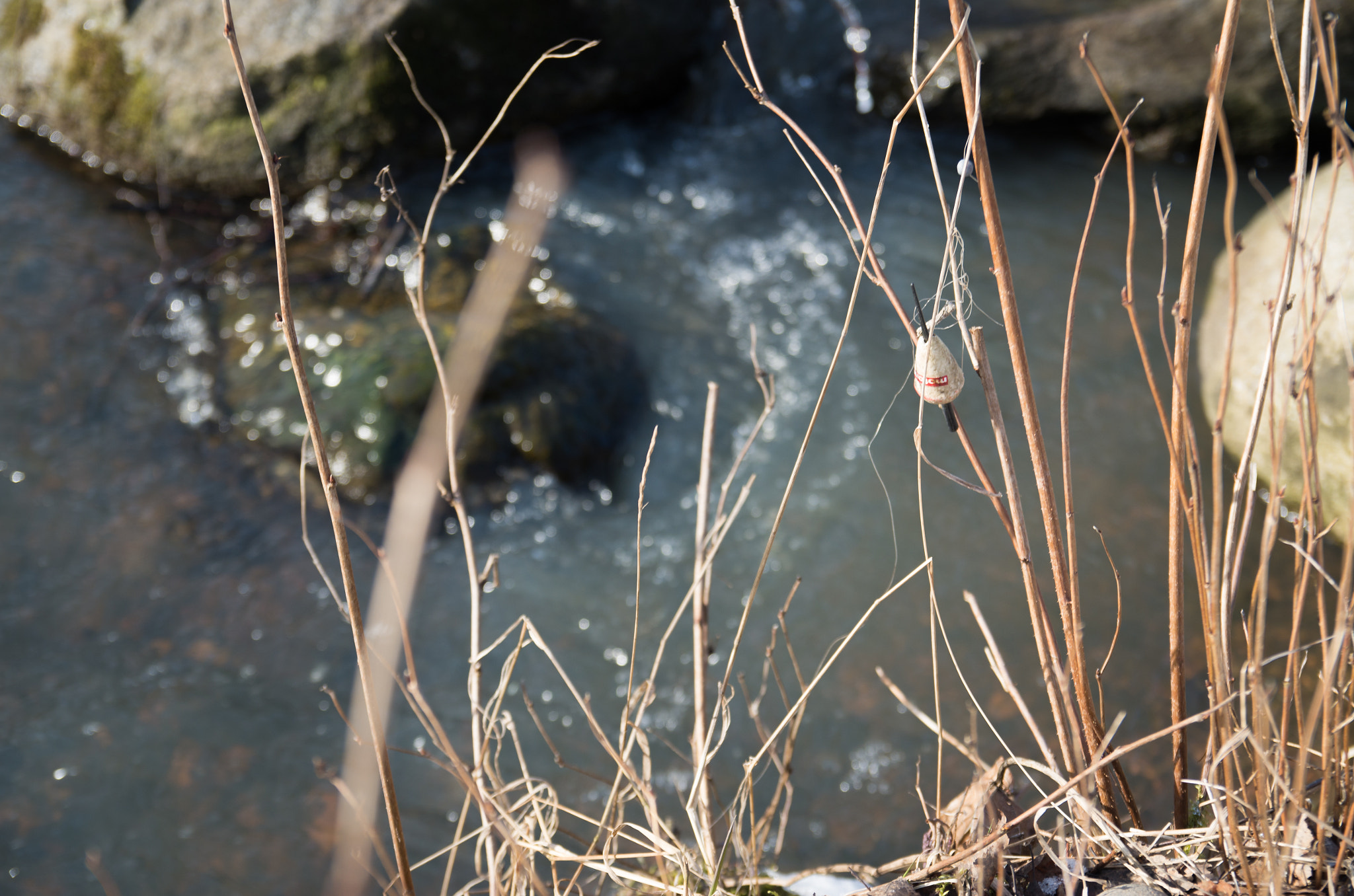 Pentax K-500 + Sigma sample photo. Next time photography