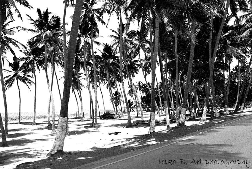 Pentax K10D + Sigma sample photo. Men & cocos ii photography