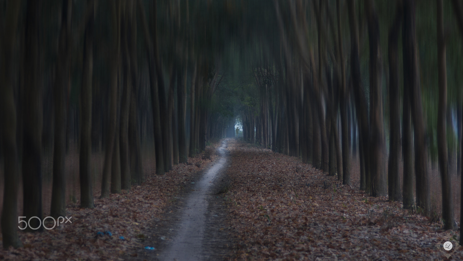 Minolta AF 28-135mm F4-4.5 sample photo. Rubber forest  - lý thanh ngô photography