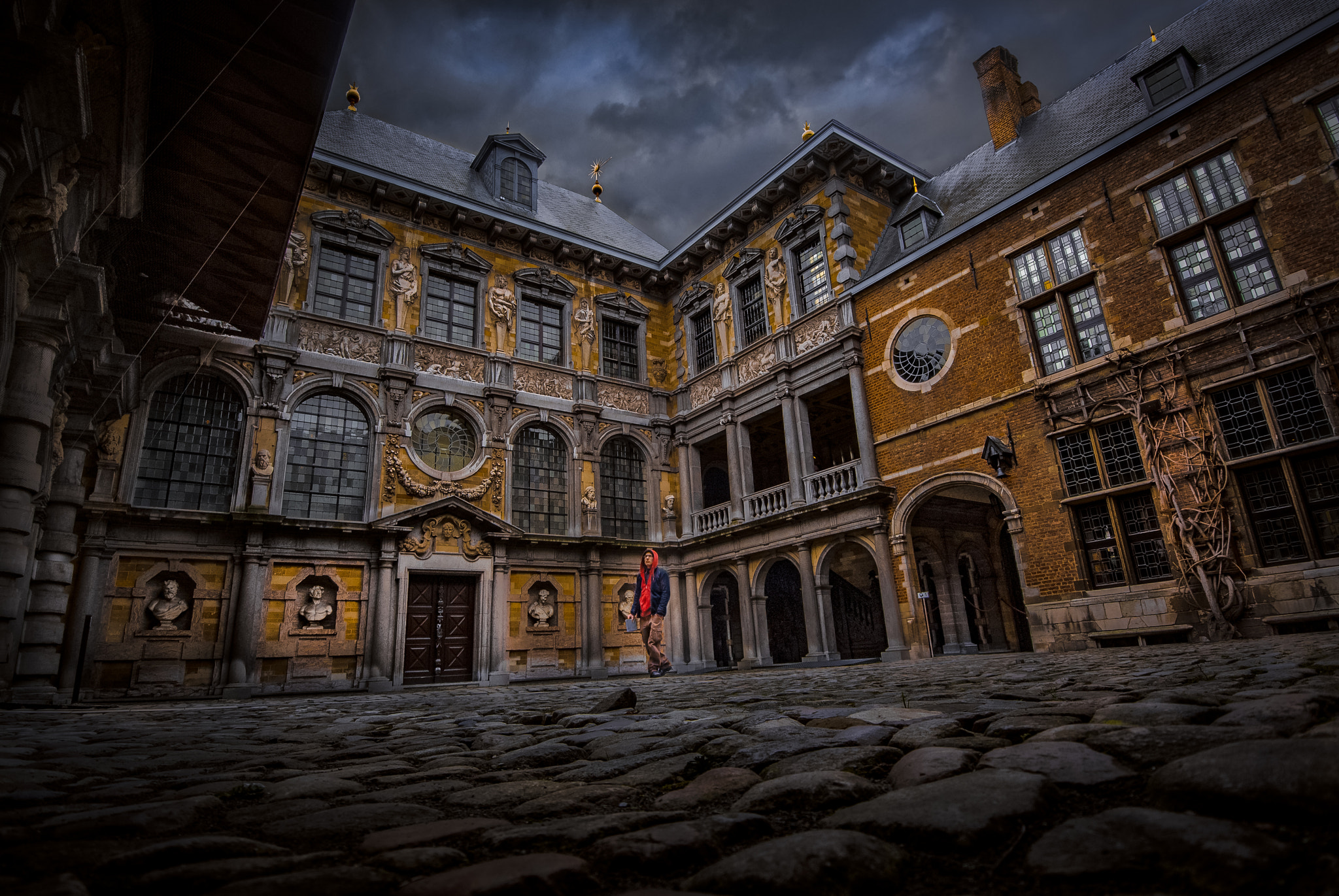 Nikon 1 Nikkor VR 6.7-13mm F3.5-5.6 sample photo. Steeped in rubens' cosmos photography