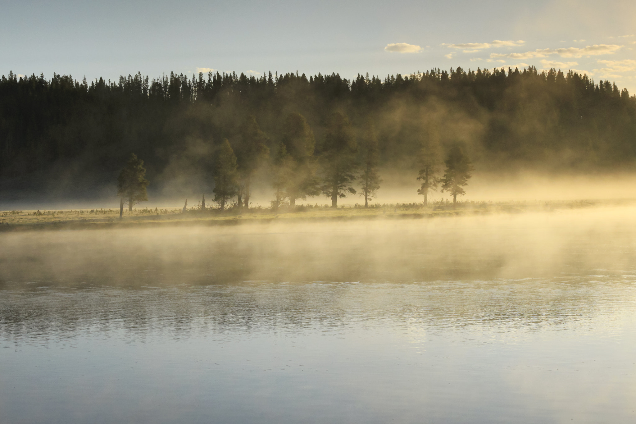 Canon EOS 500D (EOS Rebel T1i / EOS Kiss X3) sample photo. Morning fog, yellowstone photography