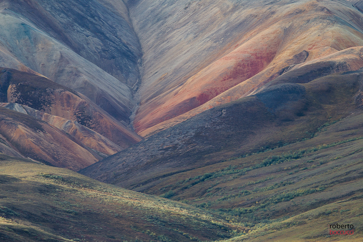 Canon EF 300mm F2.8L IS USM sample photo. Denali np (alaska) photography