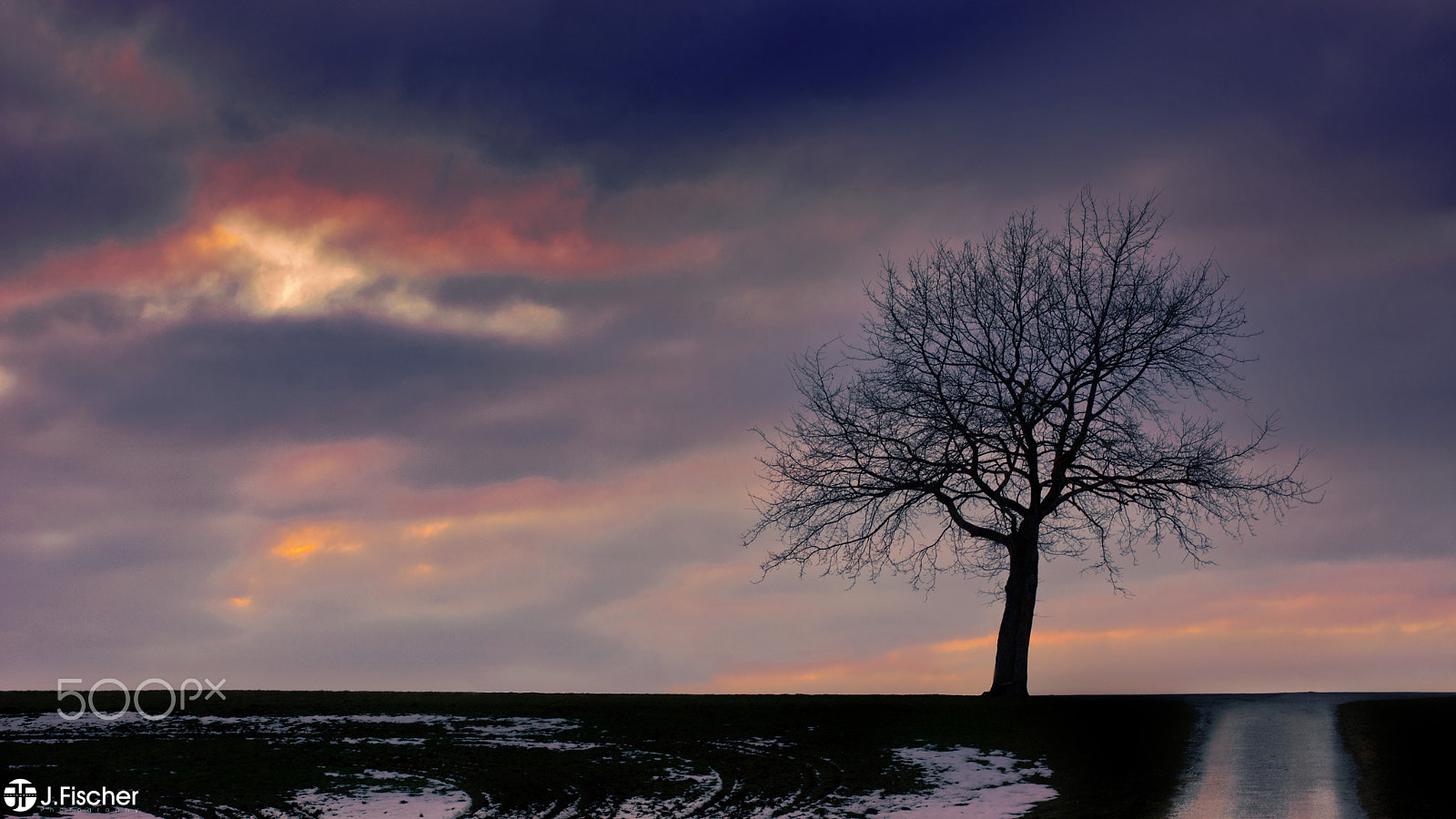 Nikon D7100 + Sigma 24-60mm F2.8 EX DG sample photo. Tree in sunset photography