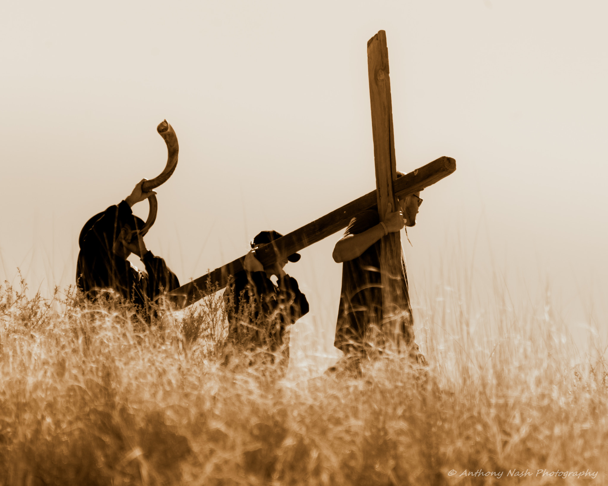 Nikon D3 sample photo. The cross and the horn photography