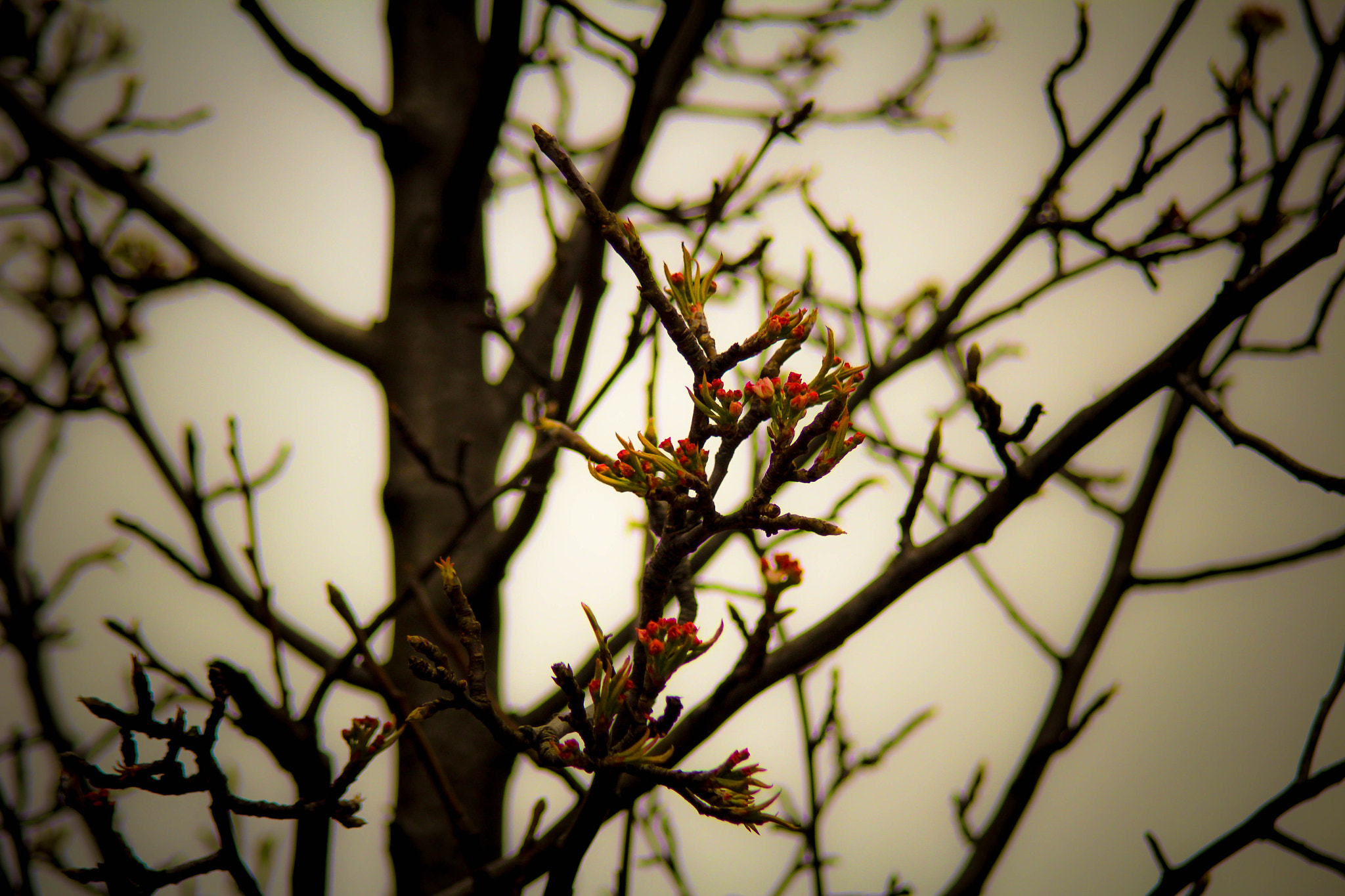 Canon EF 35-135mm f/4-5.6 USM sample photo