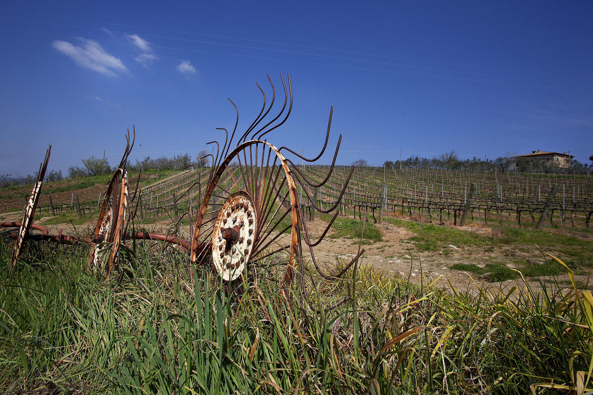 Sigma 17-35mm f/2.8-4 EX DG Aspherical HSM sample photo. This land is your land photography