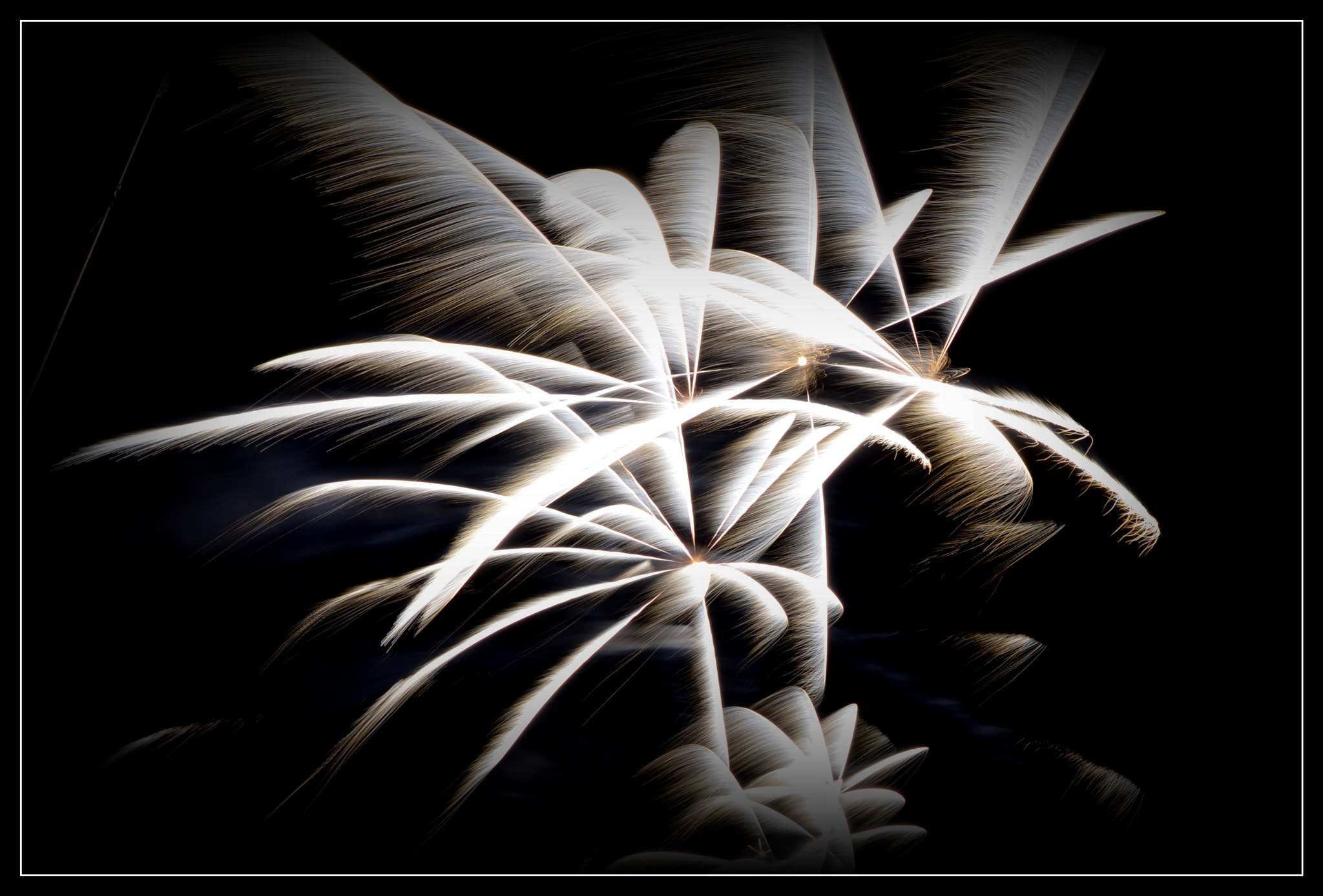 Sigma 8-16mm F4.5-5.6 DC HSM sample photo. Wings of fire photography