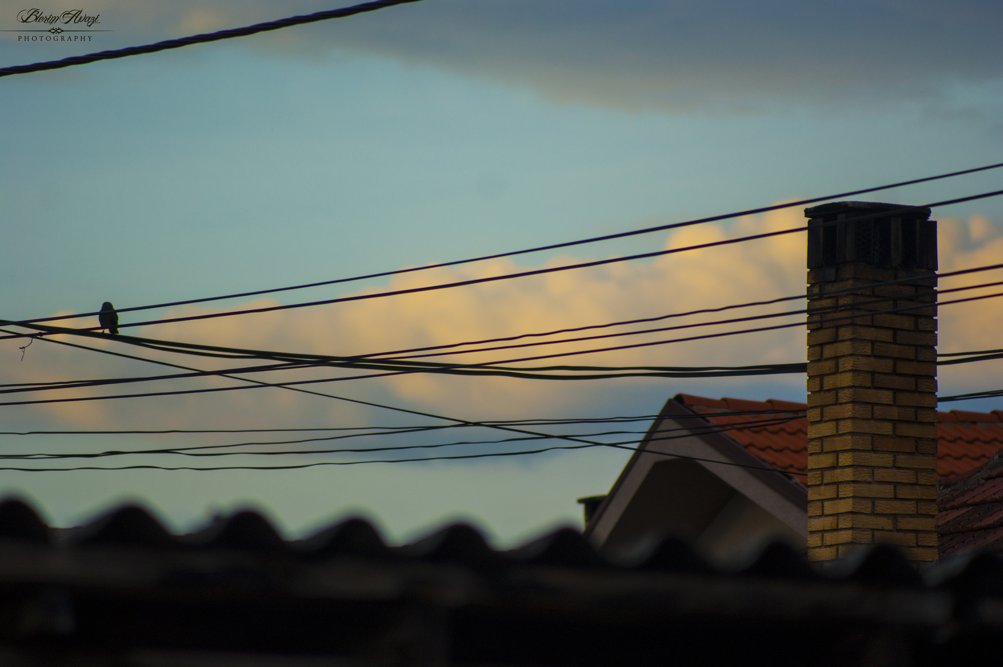 Minolta AF 70-210mm F3.5-4.5 sample photo. A bird and a chimney photography