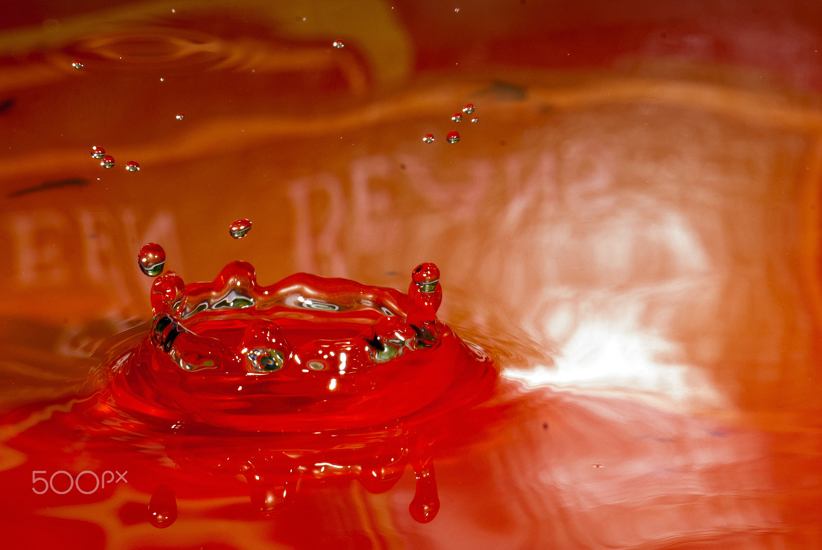Nikon D40X sample photo. Orangedroplet photography