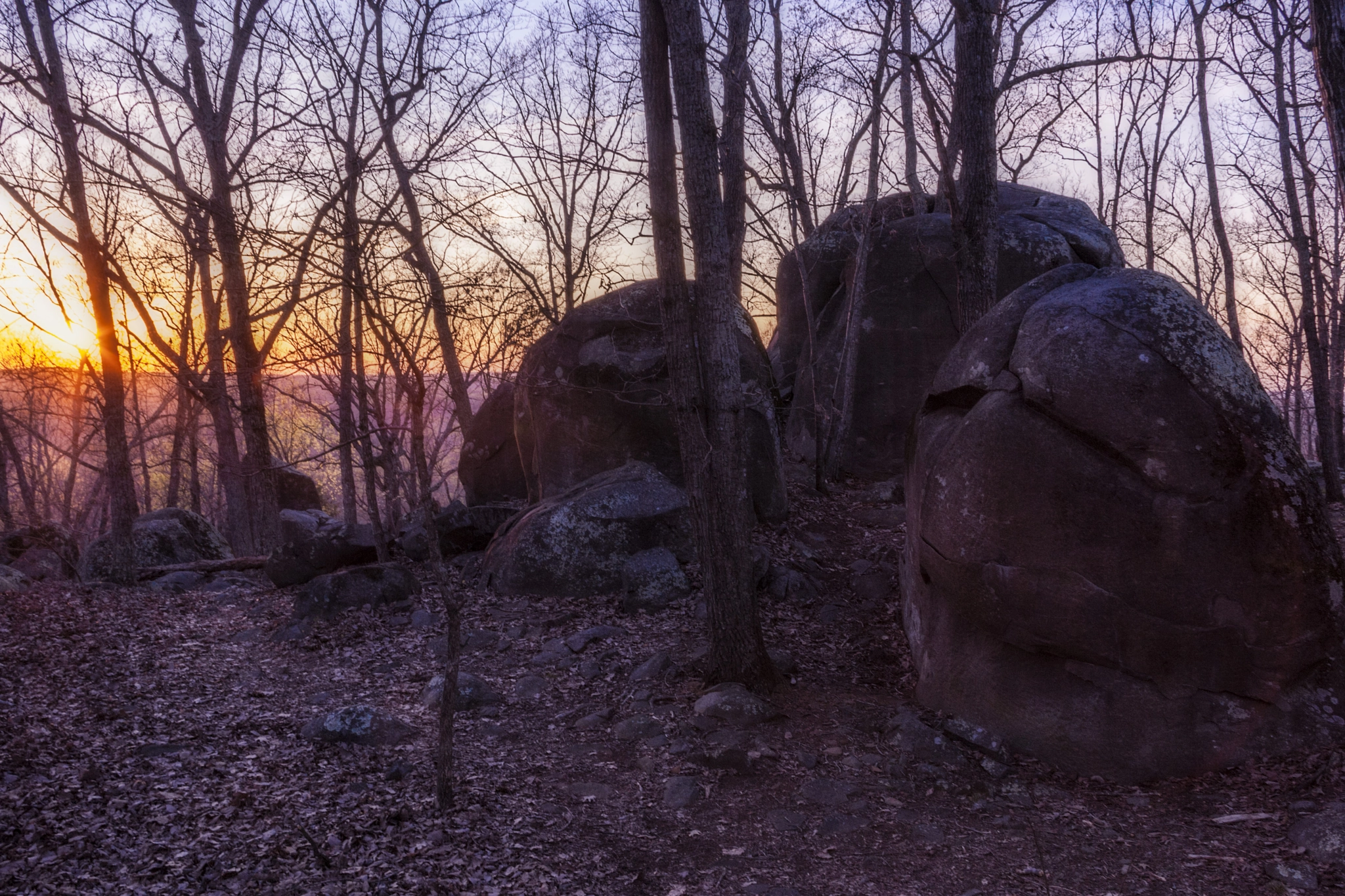Canon EOS-1D Mark III sample photo. Sad face sunset photography