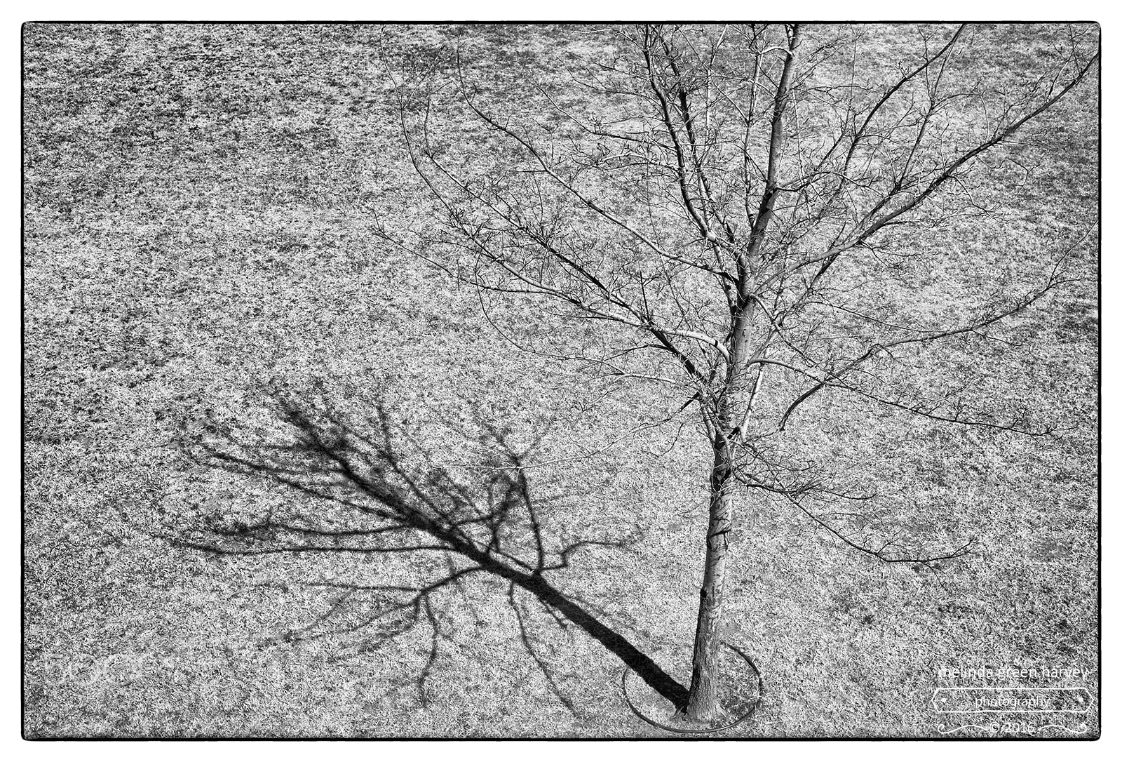 Leica Summarit-M 50mm F2.4 sample photo. Sundial photography