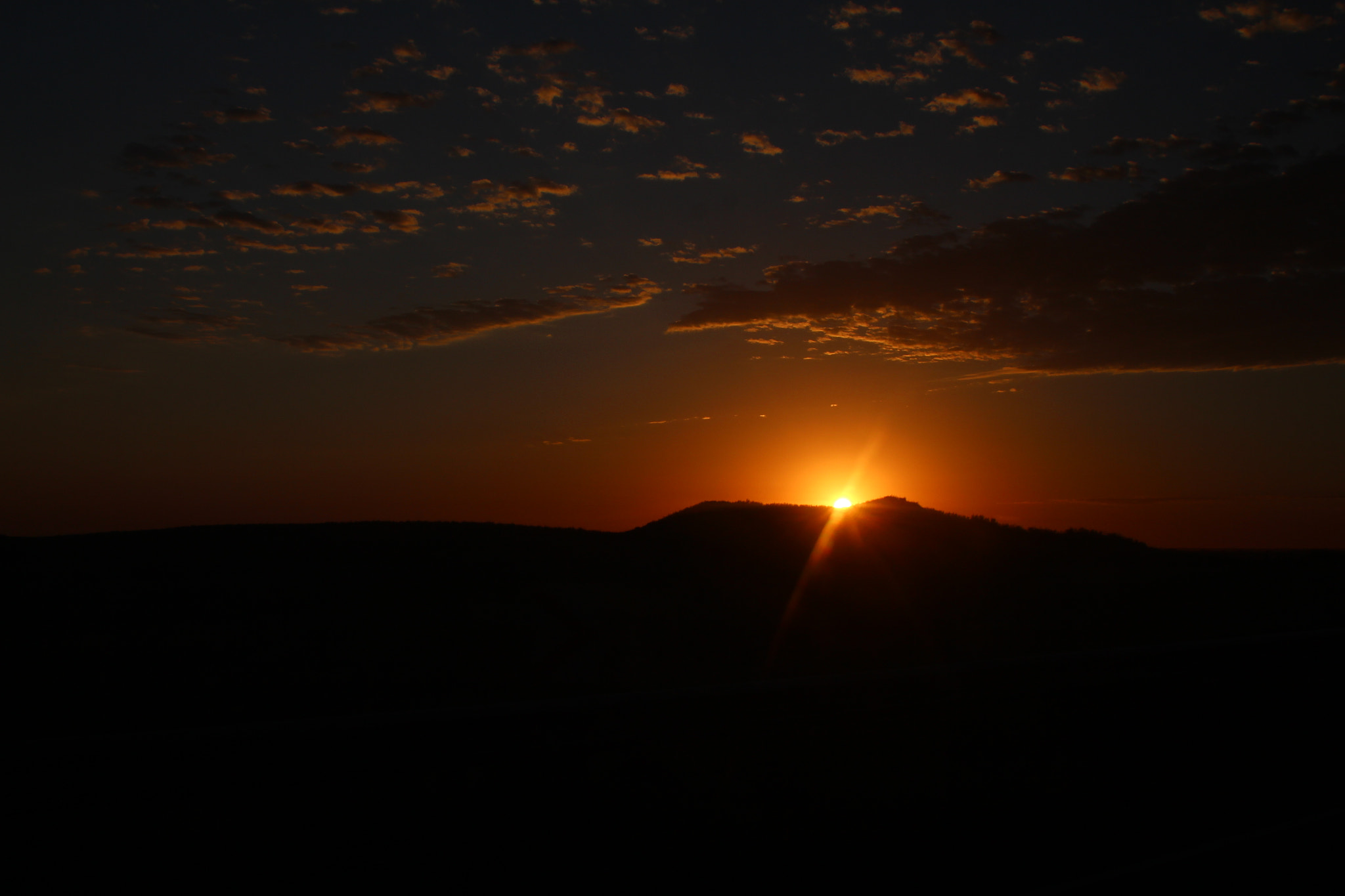 Canon EF 28-105mm f/3.5-4.5 USM sample photo. Hello to the world photography
