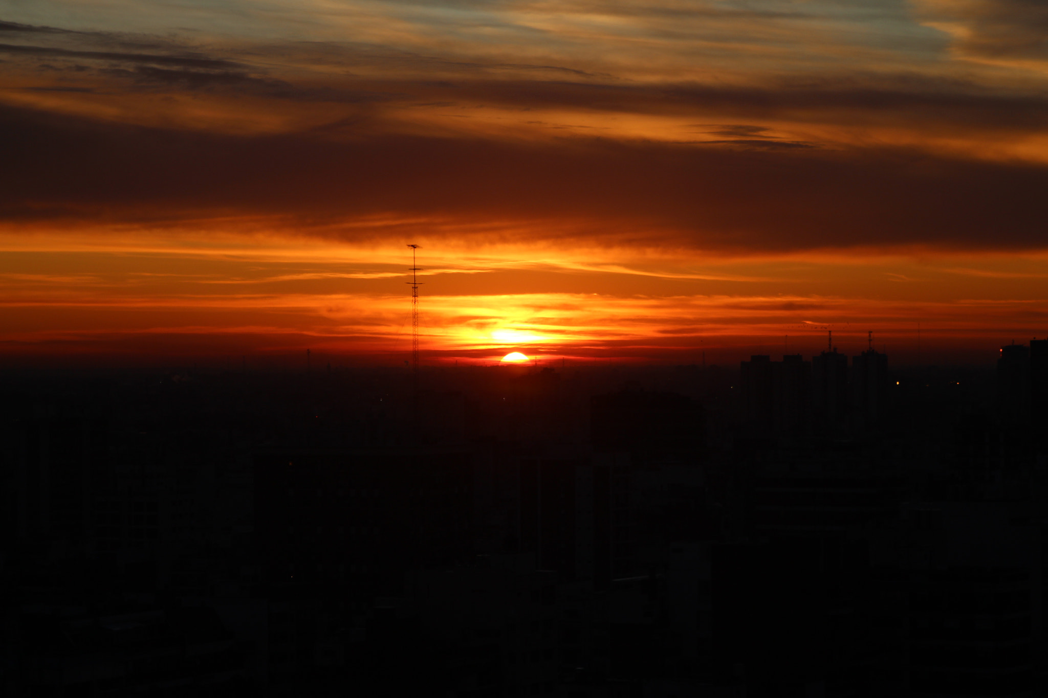 Canon EF 28-105mm f/3.5-4.5 USM sample photo. Goodbye my friend. photography