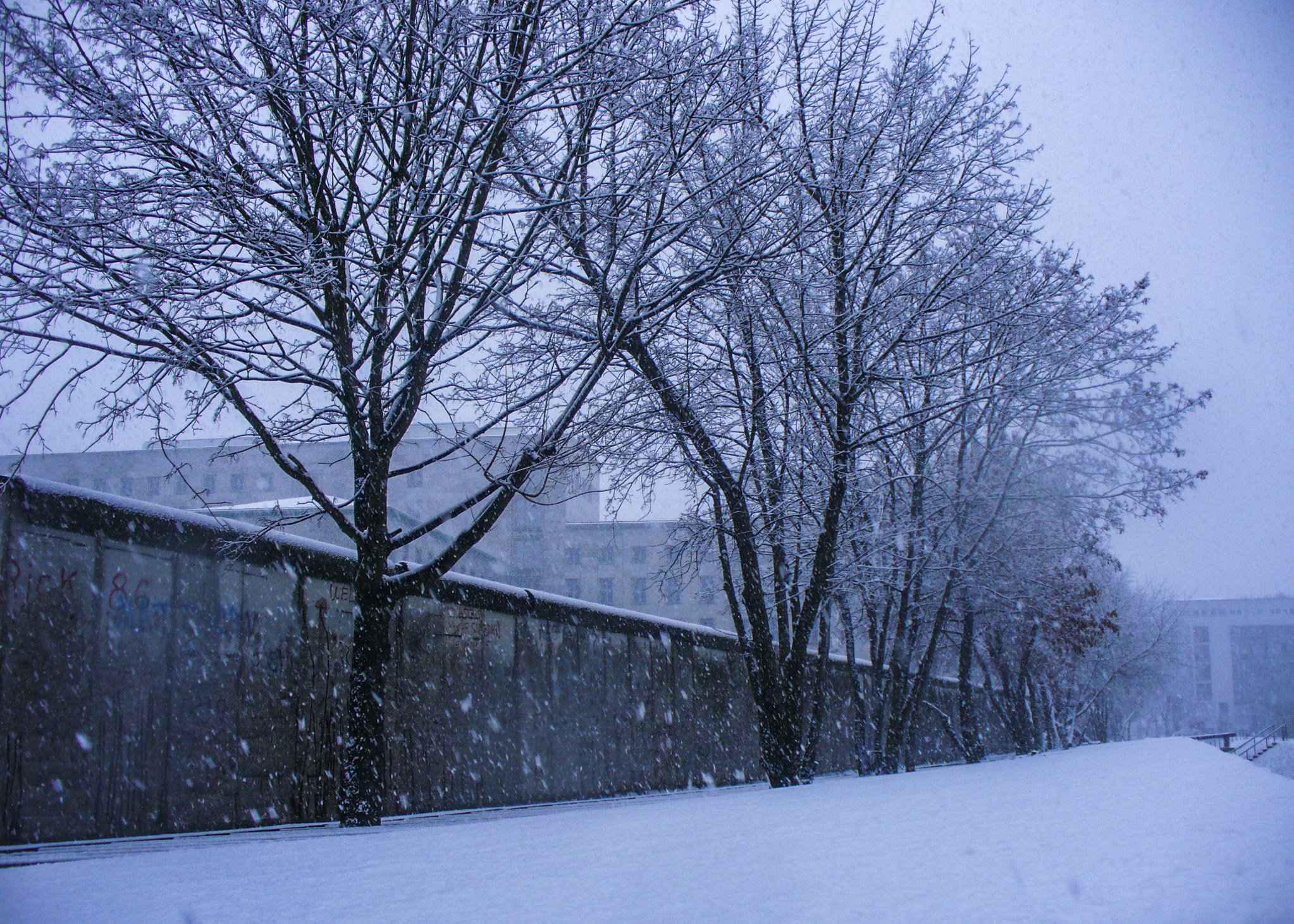 Panasonic DMC-LZ5 sample photo. Snow behind the berlin wall photography