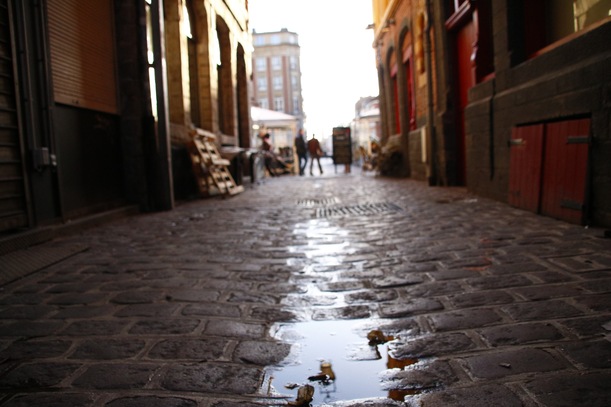 Canon EOS 760D (EOS Rebel T6s / EOS 8000D) + Canon TS-E 90mm F2.8 Tilt-Shift sample photo. Rue du paon photography