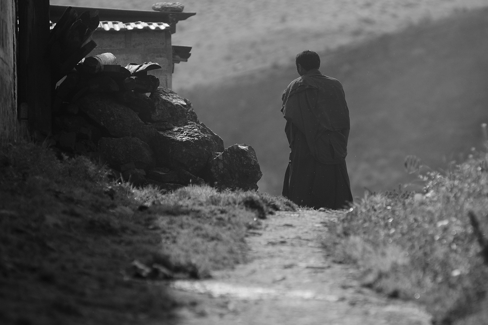 Nikon D70 sample photo. Lama photography