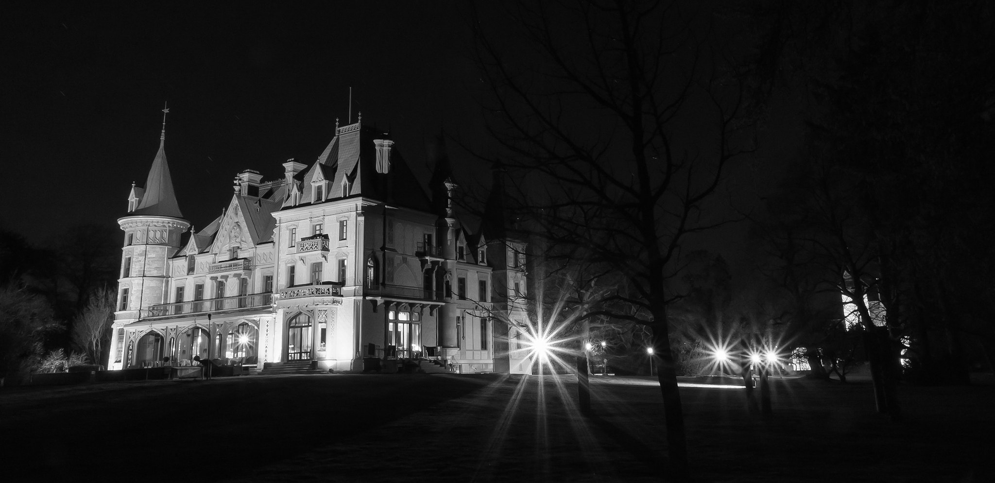 Pentax K-3 II sample photo. Schloss schadau photography